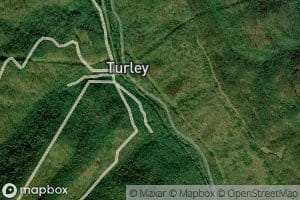 Turley Branch