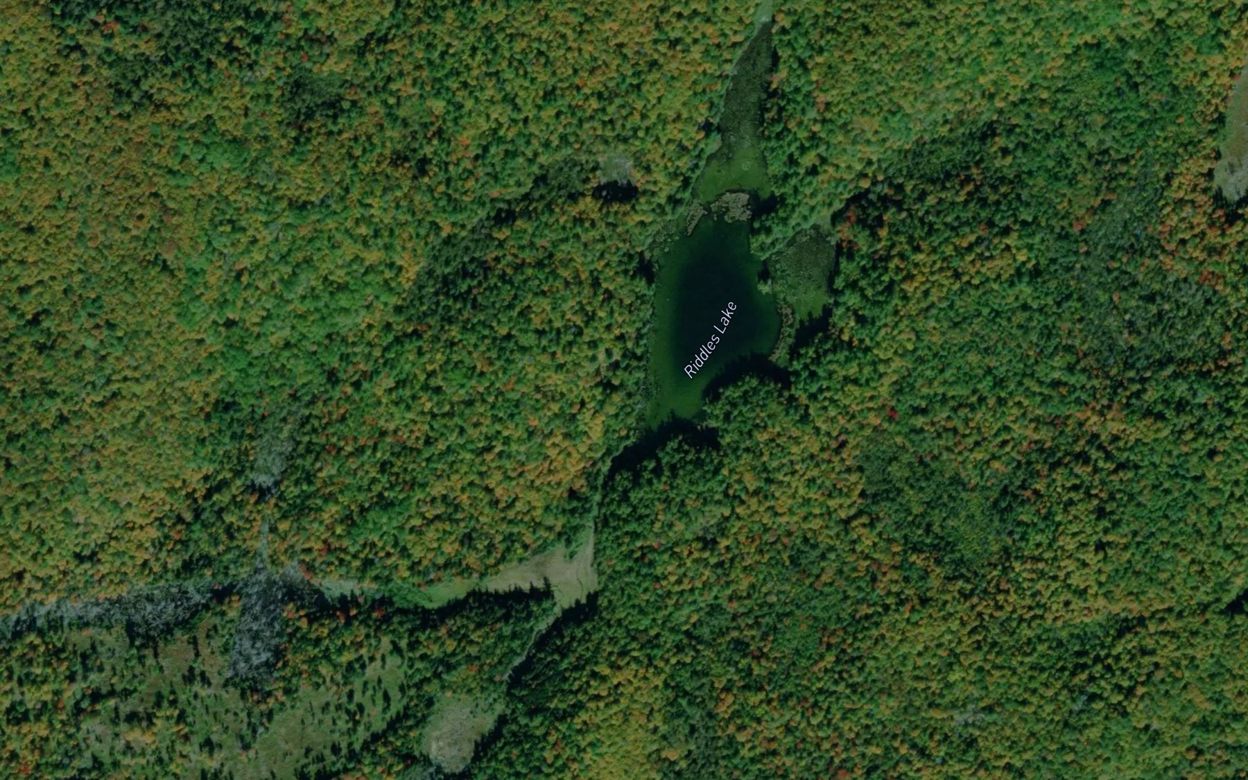 Satellite map of the Riddles Lake
