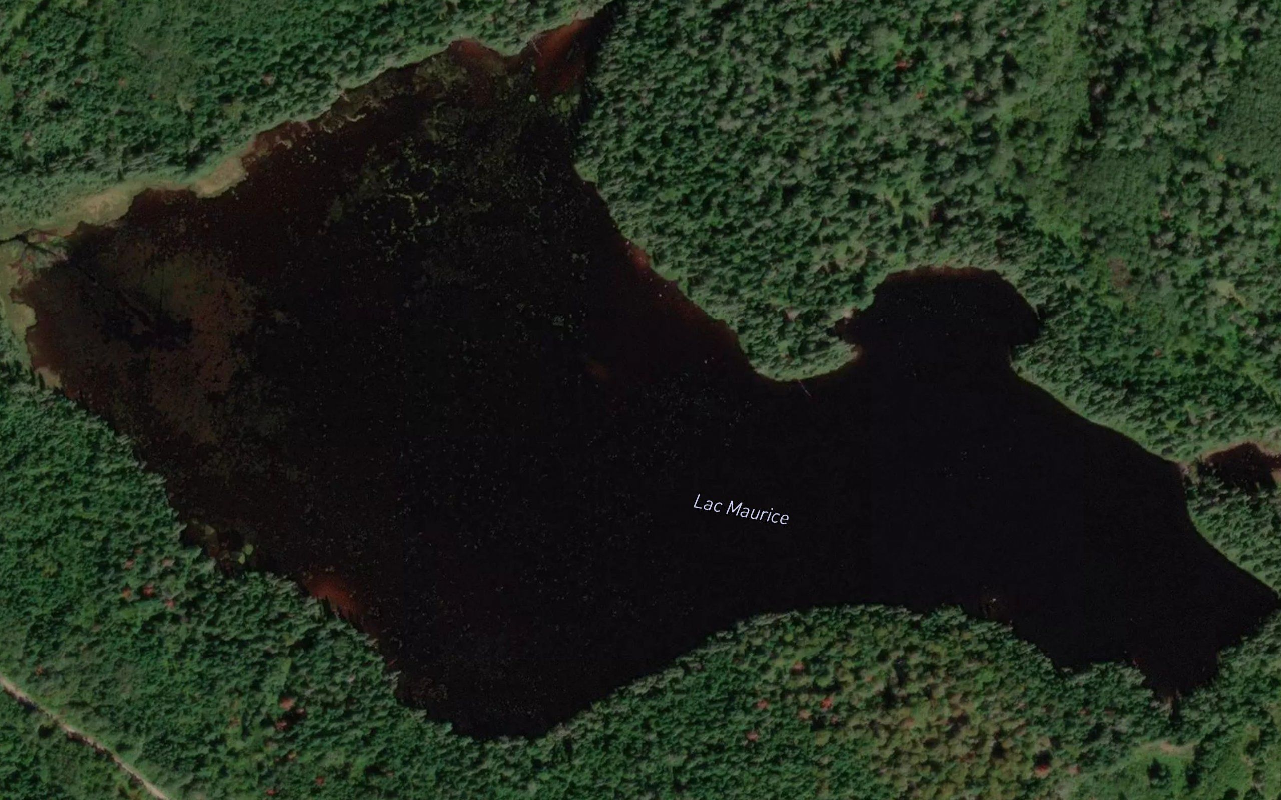 Lac Maurice