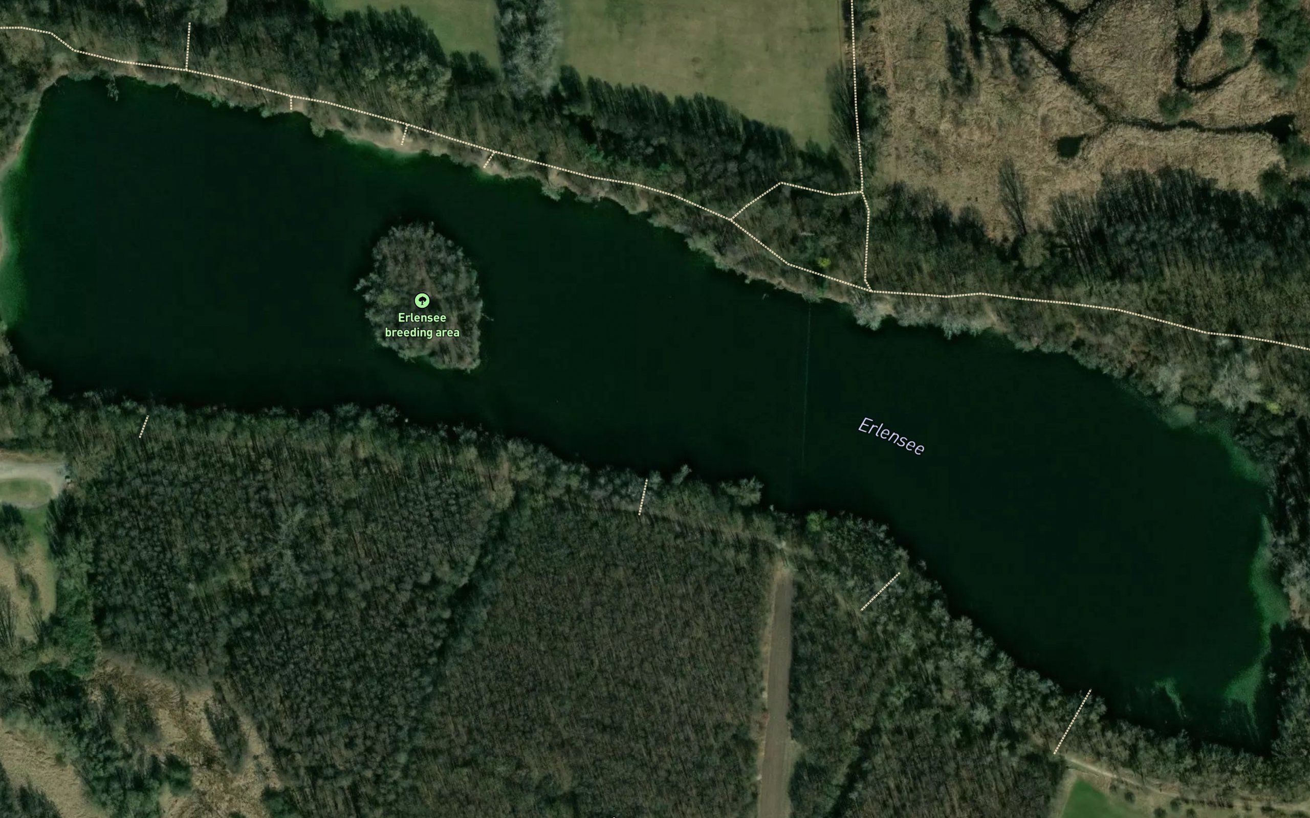 Erlensee