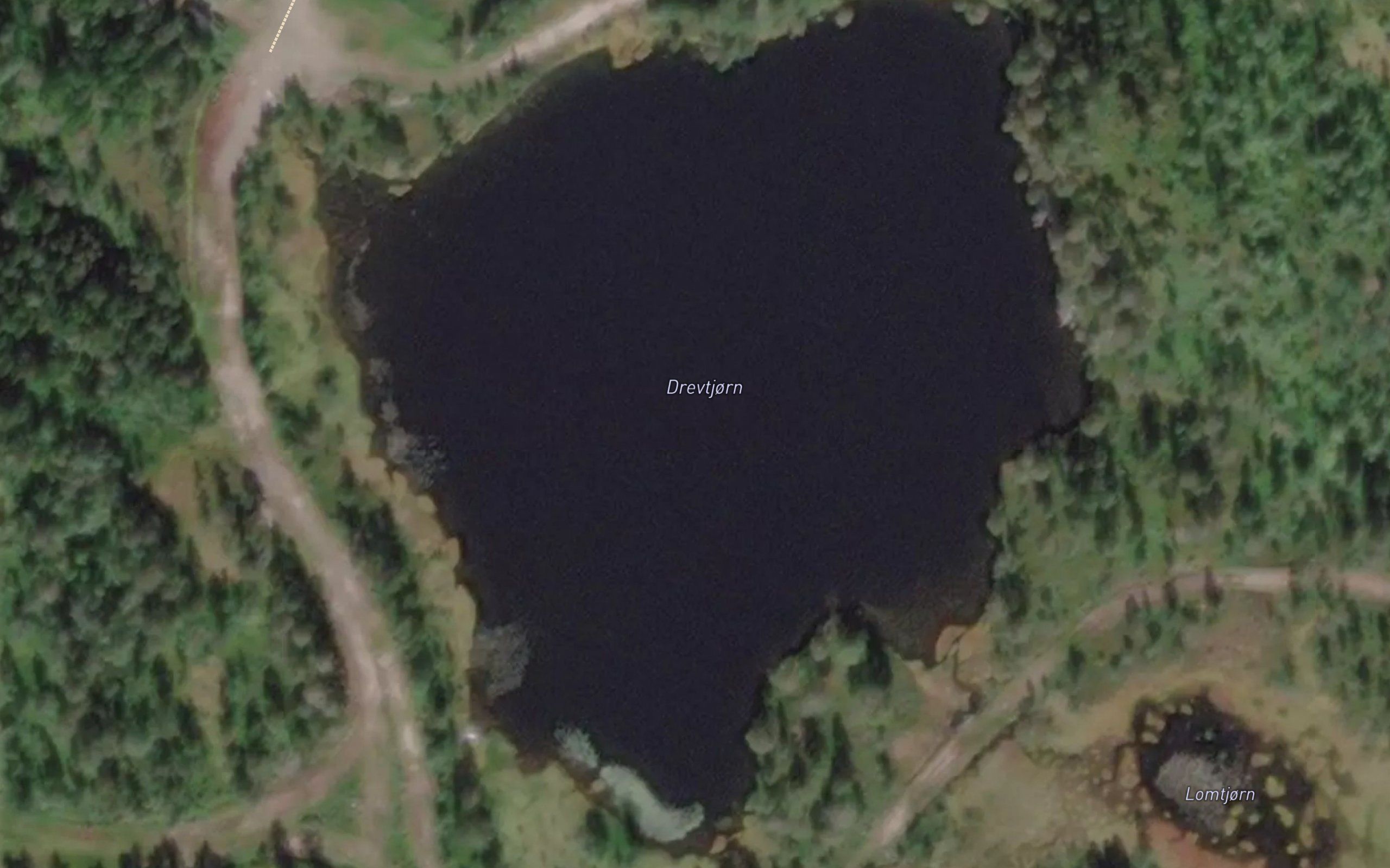 Drevtjorn
