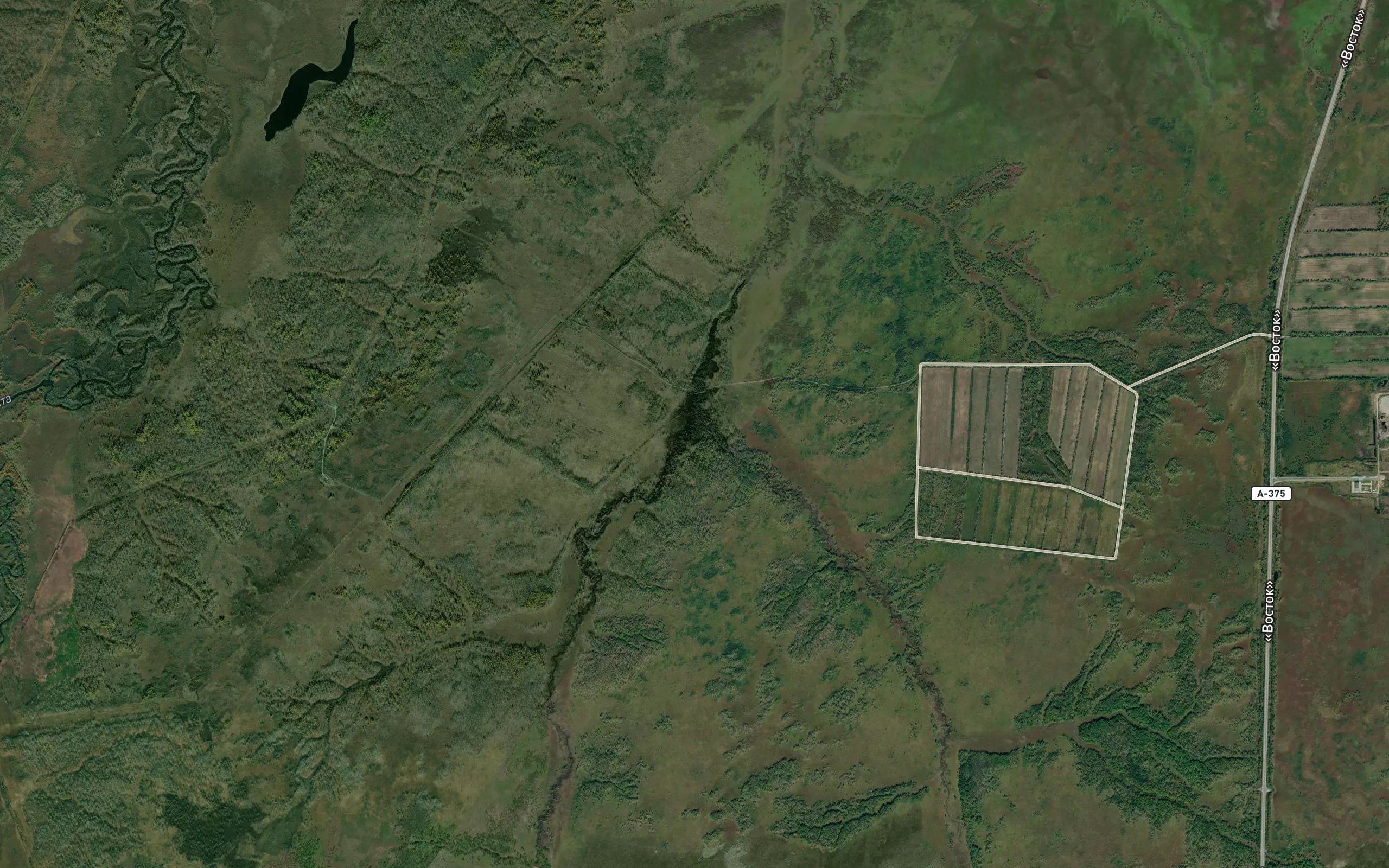 Mokhovaya Vtoraya