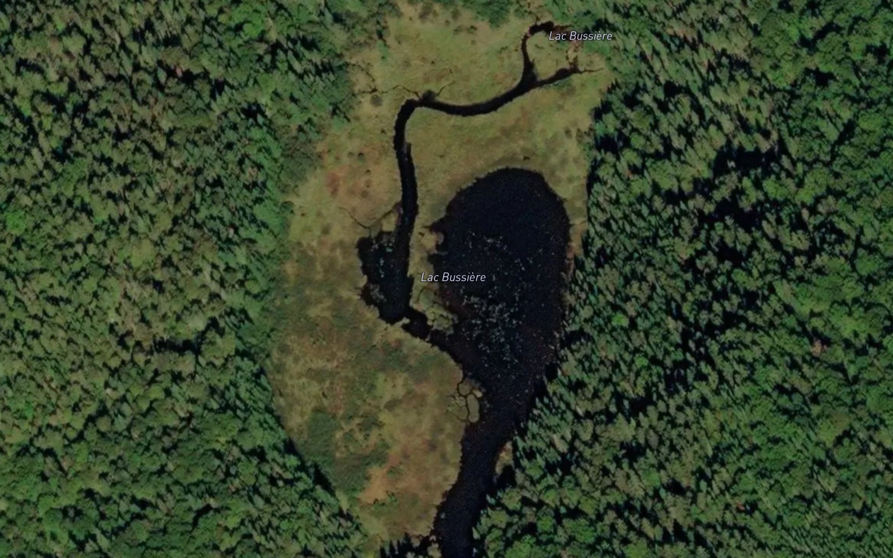 Satellite map of the Lac Bussiere