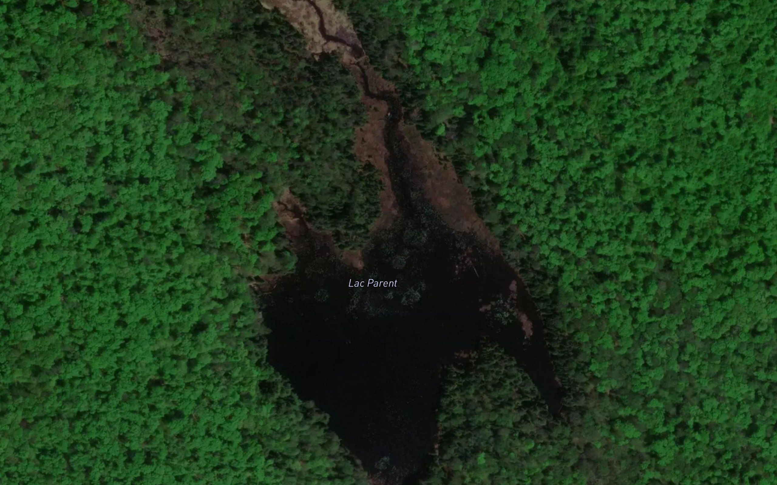 Lac Parent