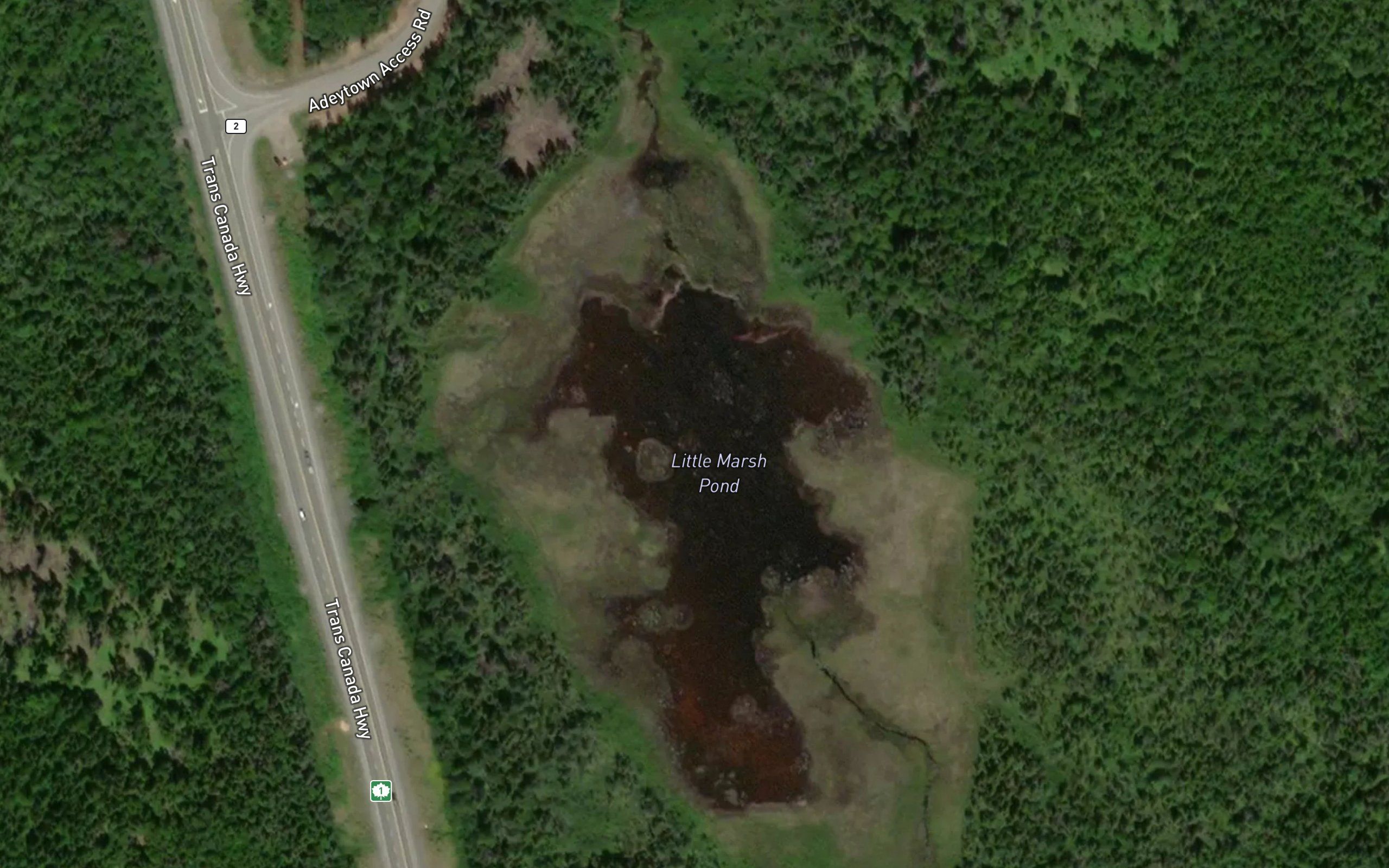 Little Marsh Pond