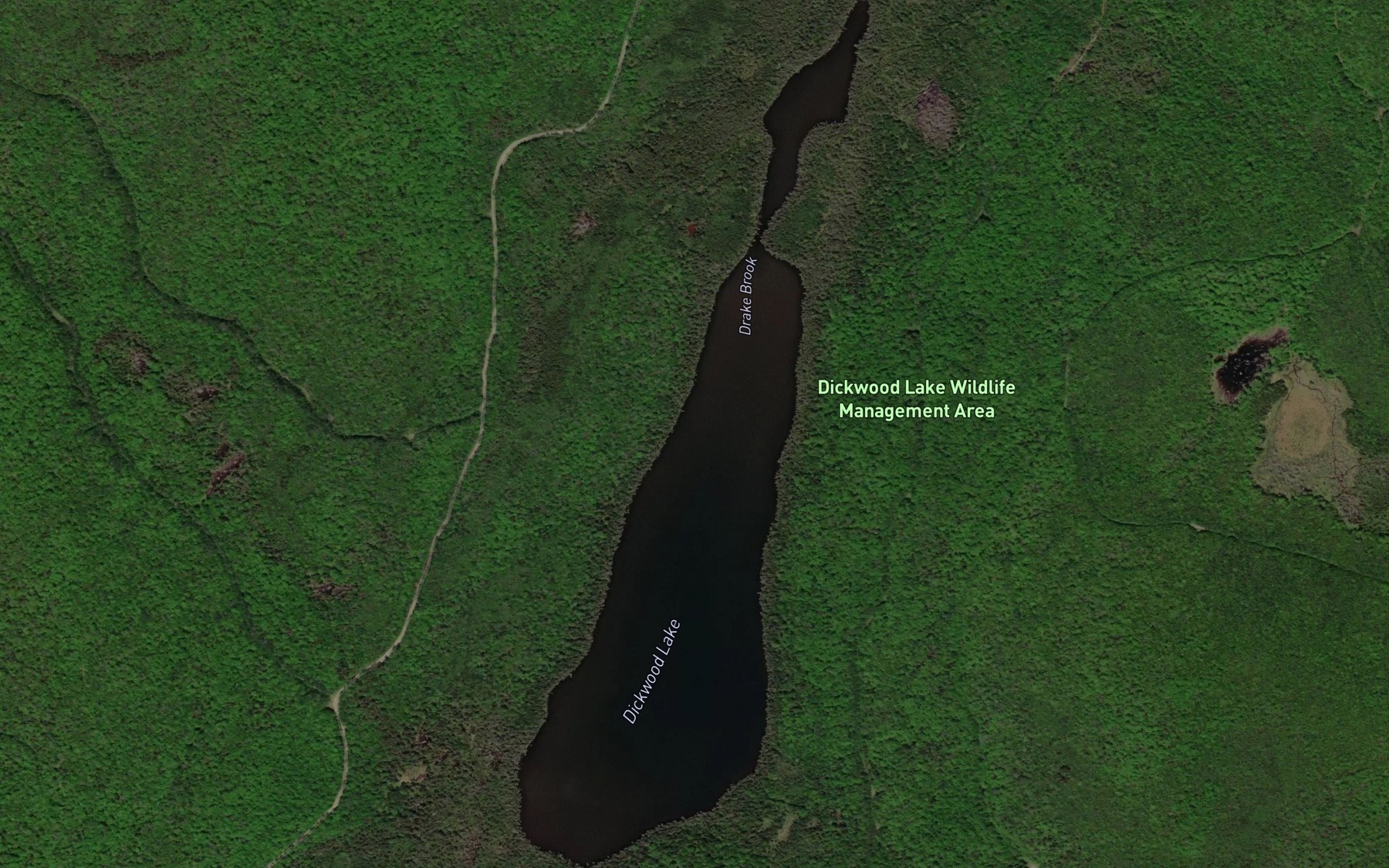 Satellite map of the Dickwood Lake