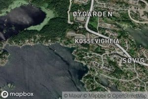 Kusseviga