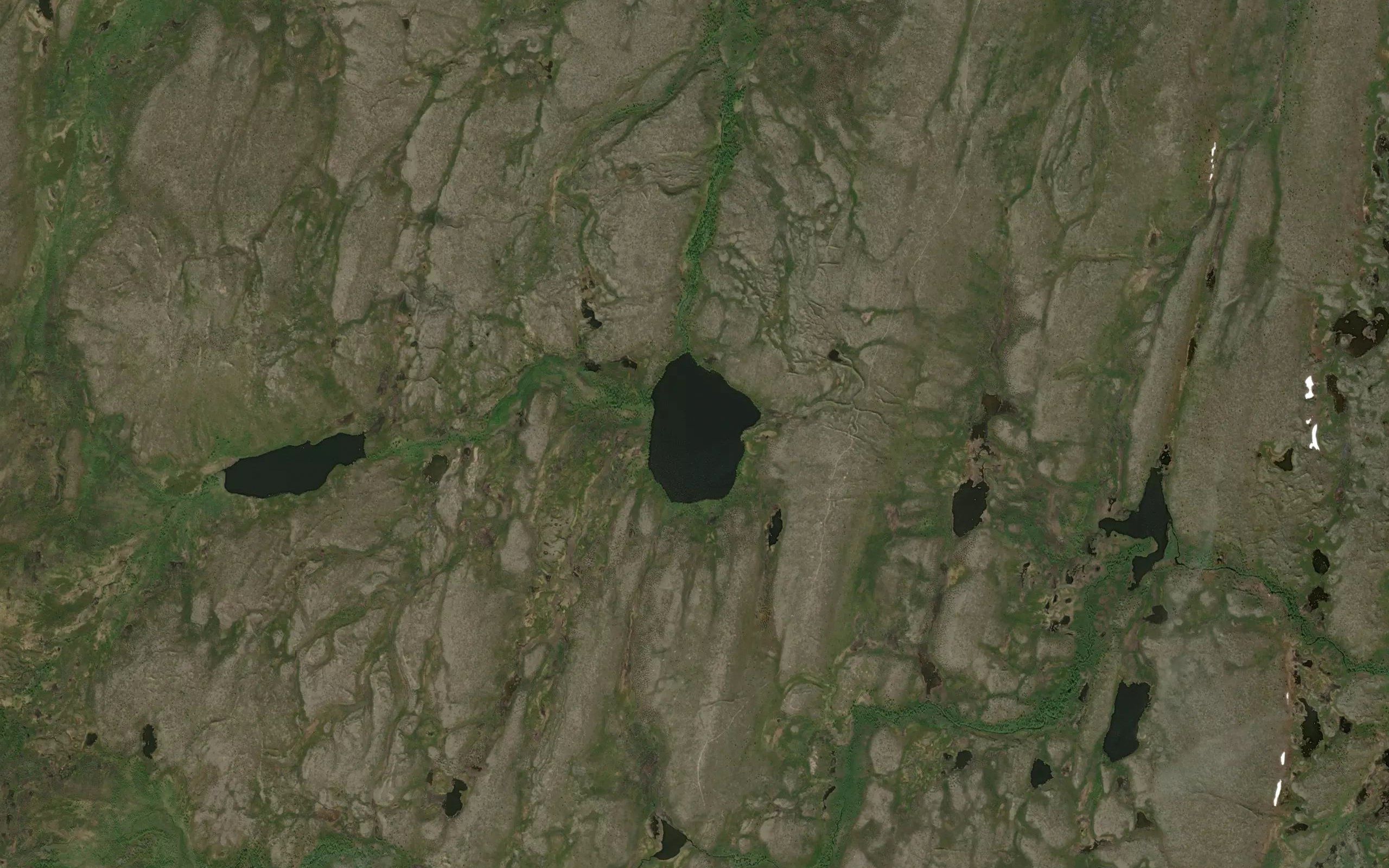 Njahkajavri