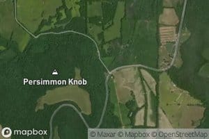 Persimmon Knob Spring