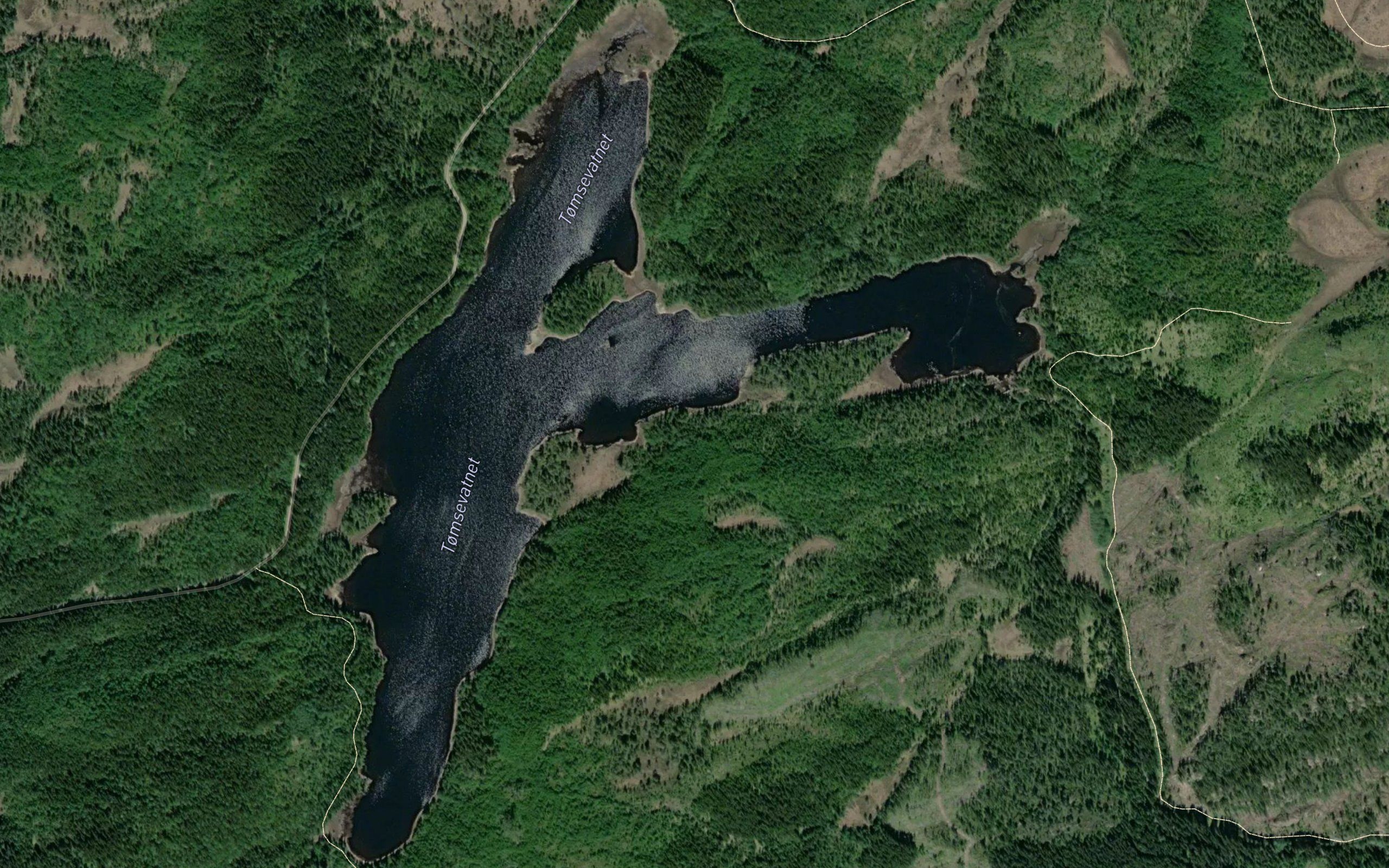 Tomsevatnet