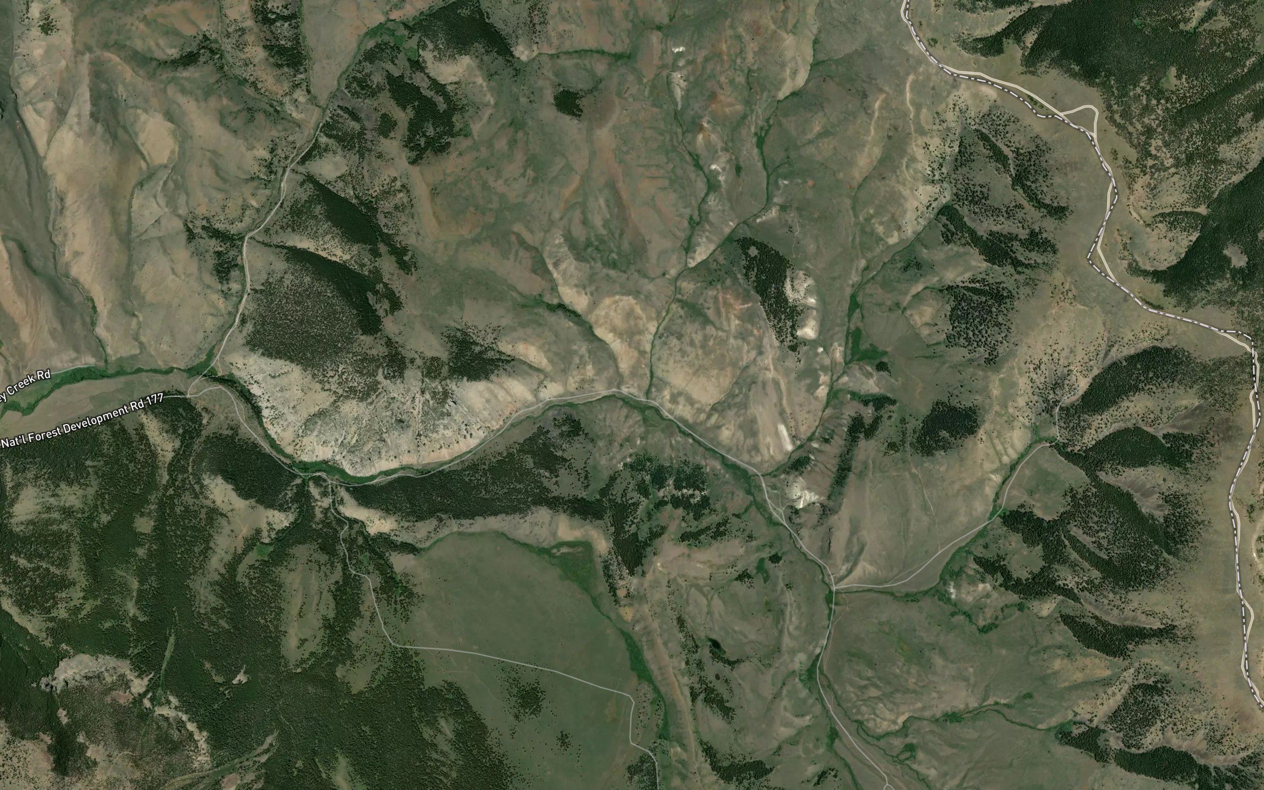 Poison Creek