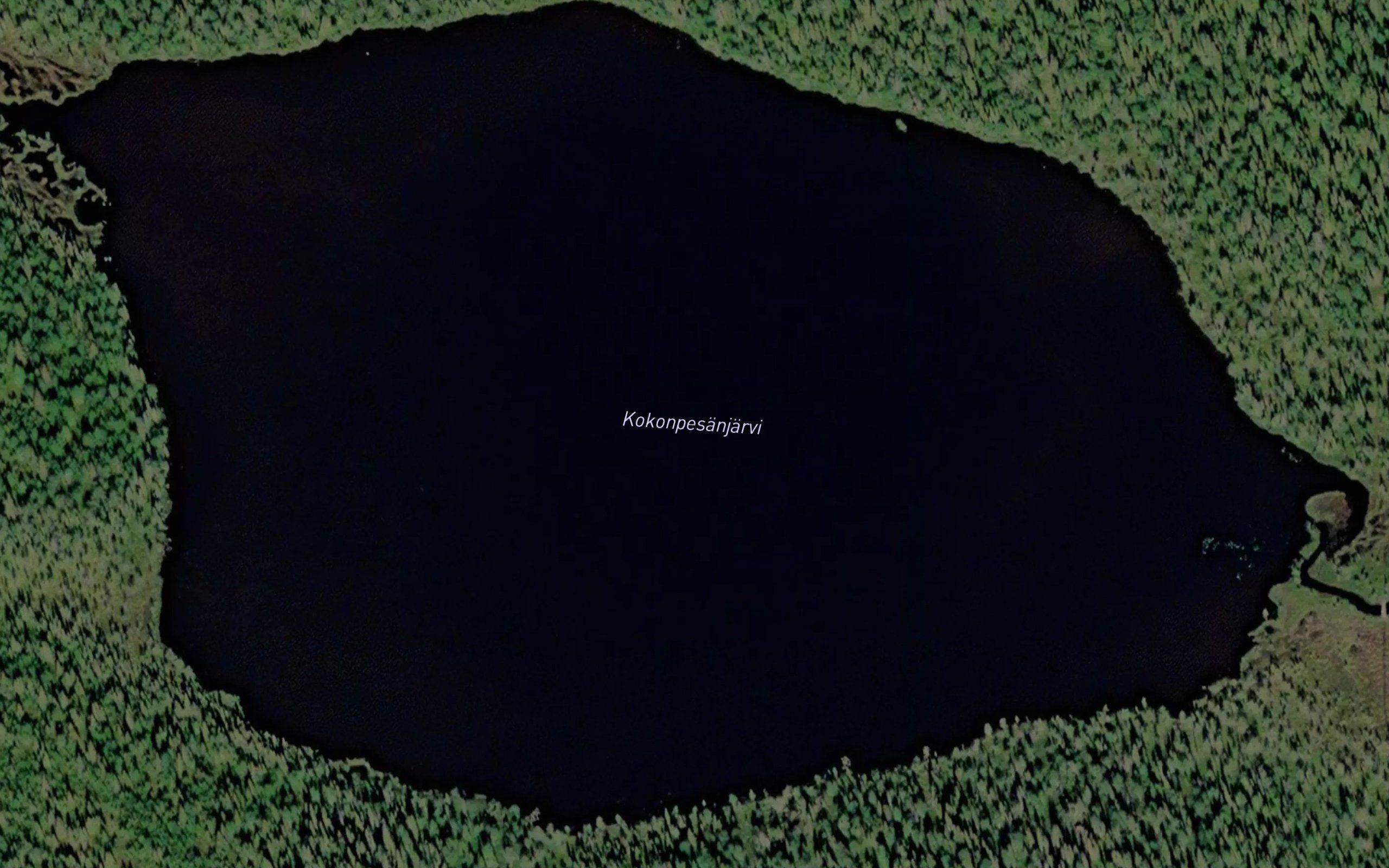 Kokonpesanjarvi