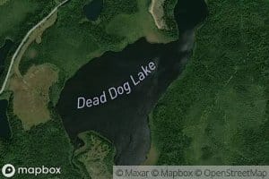 Dead Dog Lake