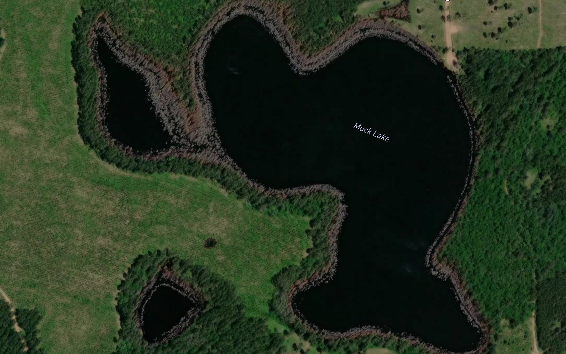 Satellite map of the Muck Lake