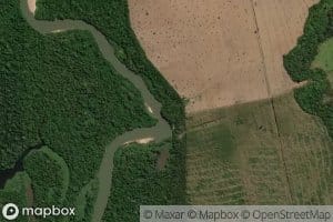 Igarape Campo da Mangueira