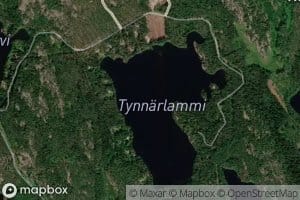 Tynnarlammi