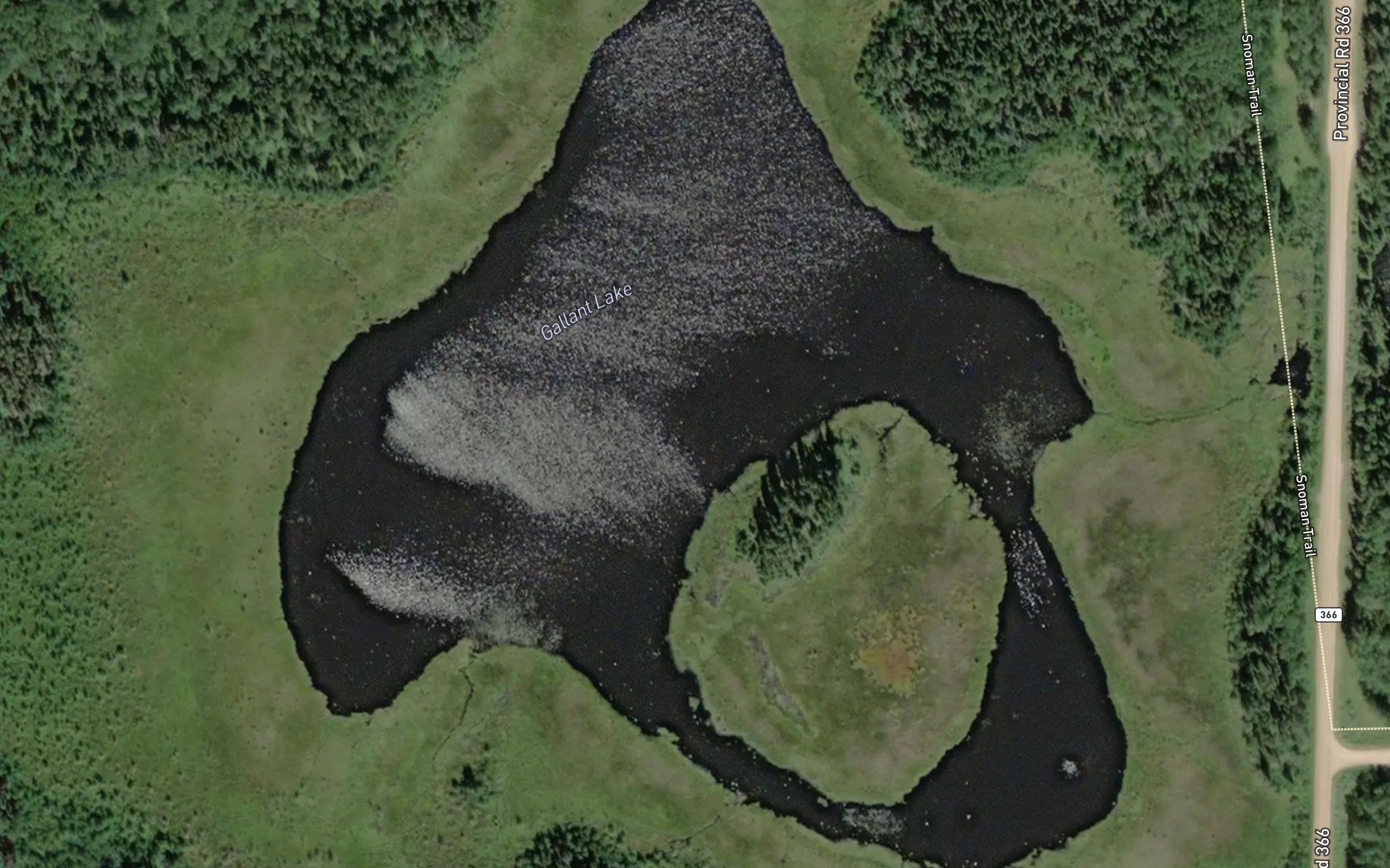 Gallant Lake