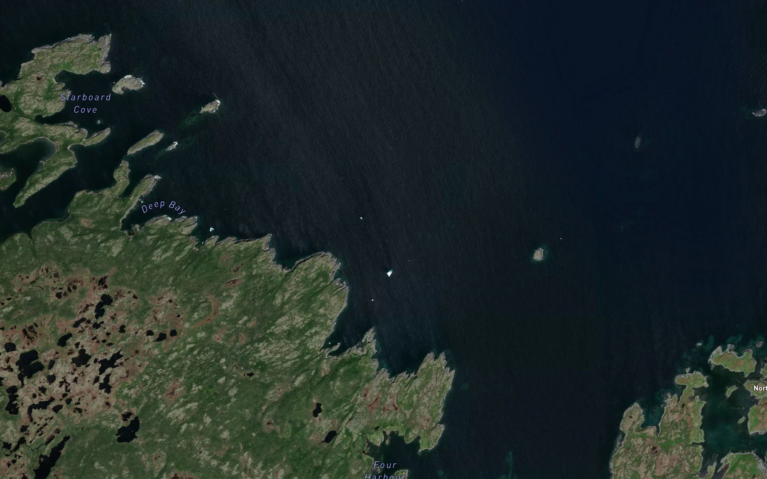 Cow Bay