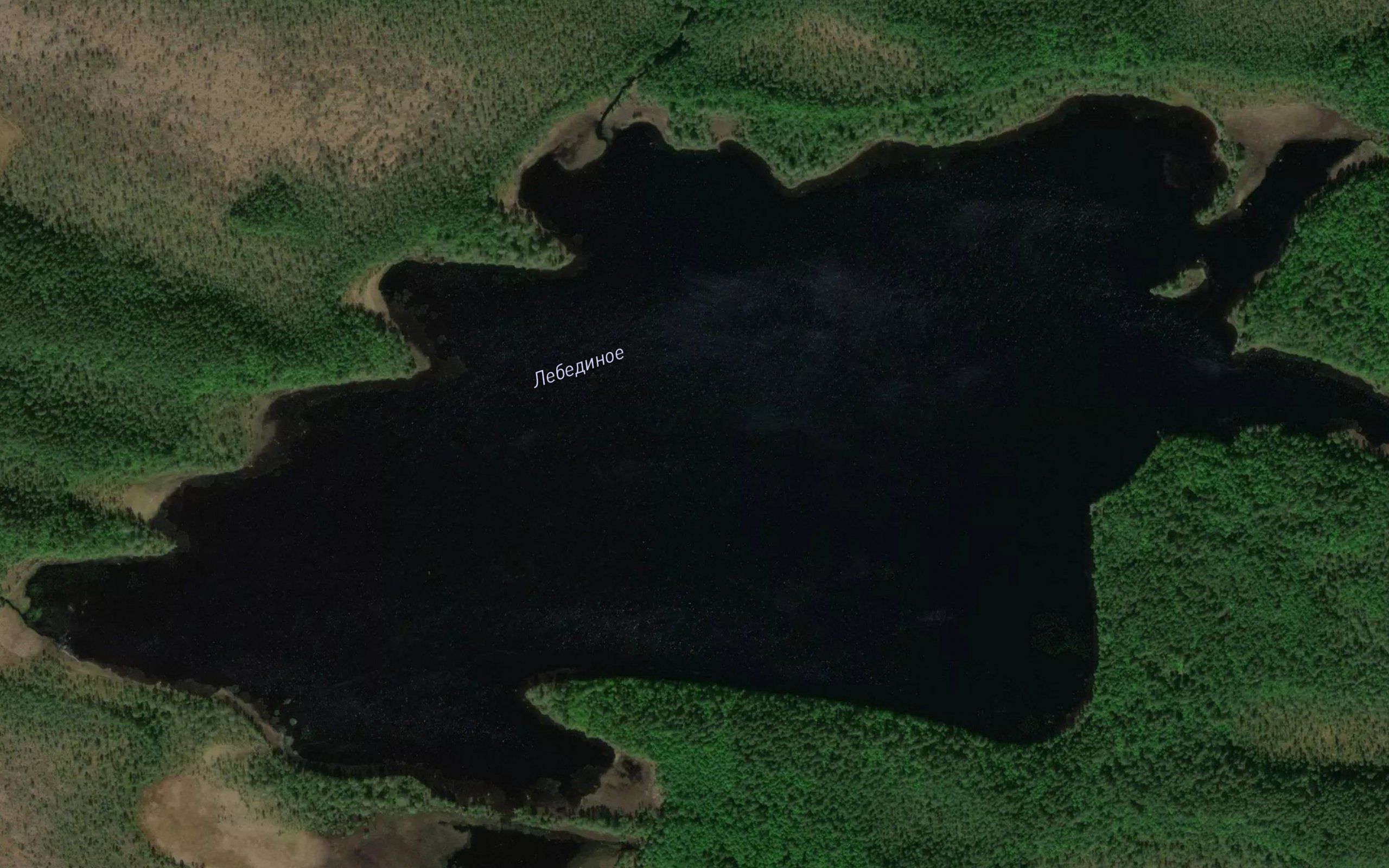 Ozero Lebedinoye