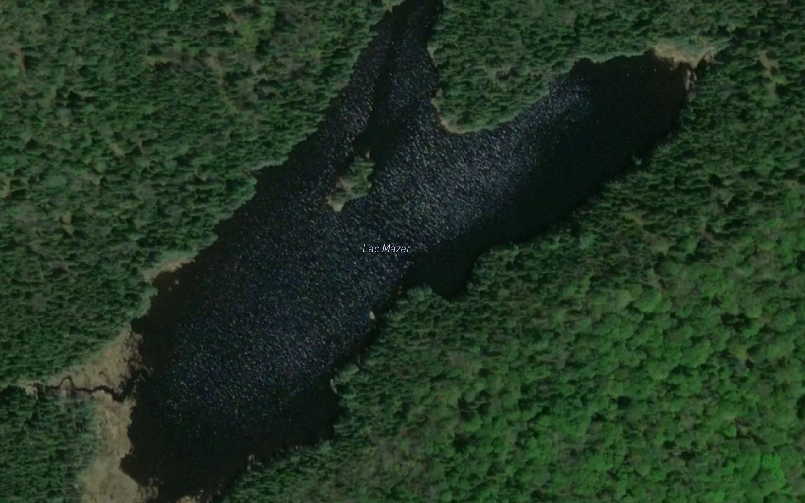 Lac Mazer
