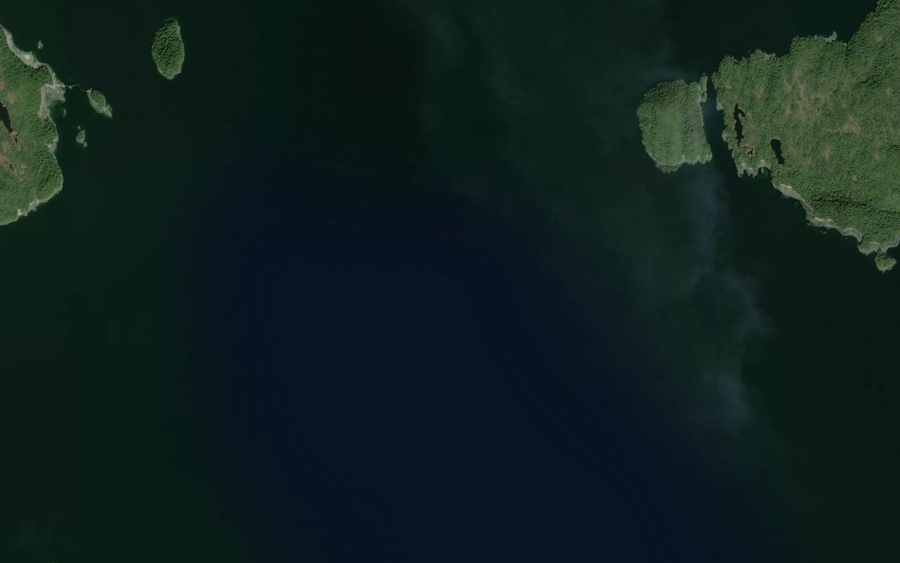 Satellite map of the Thorne Arm
