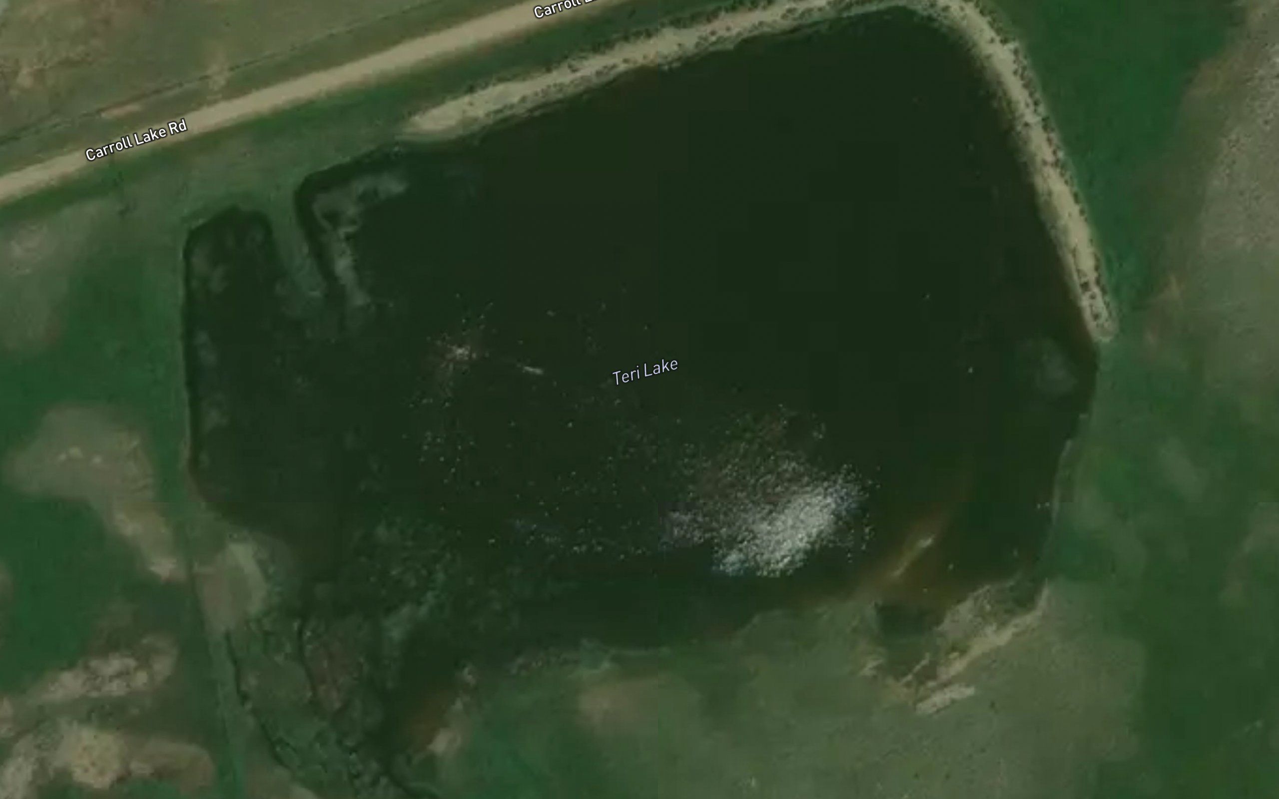 Teri Lake