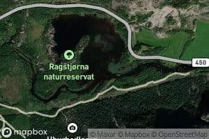 Ragstjorna