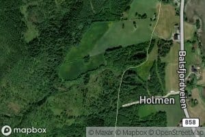 Holmelva