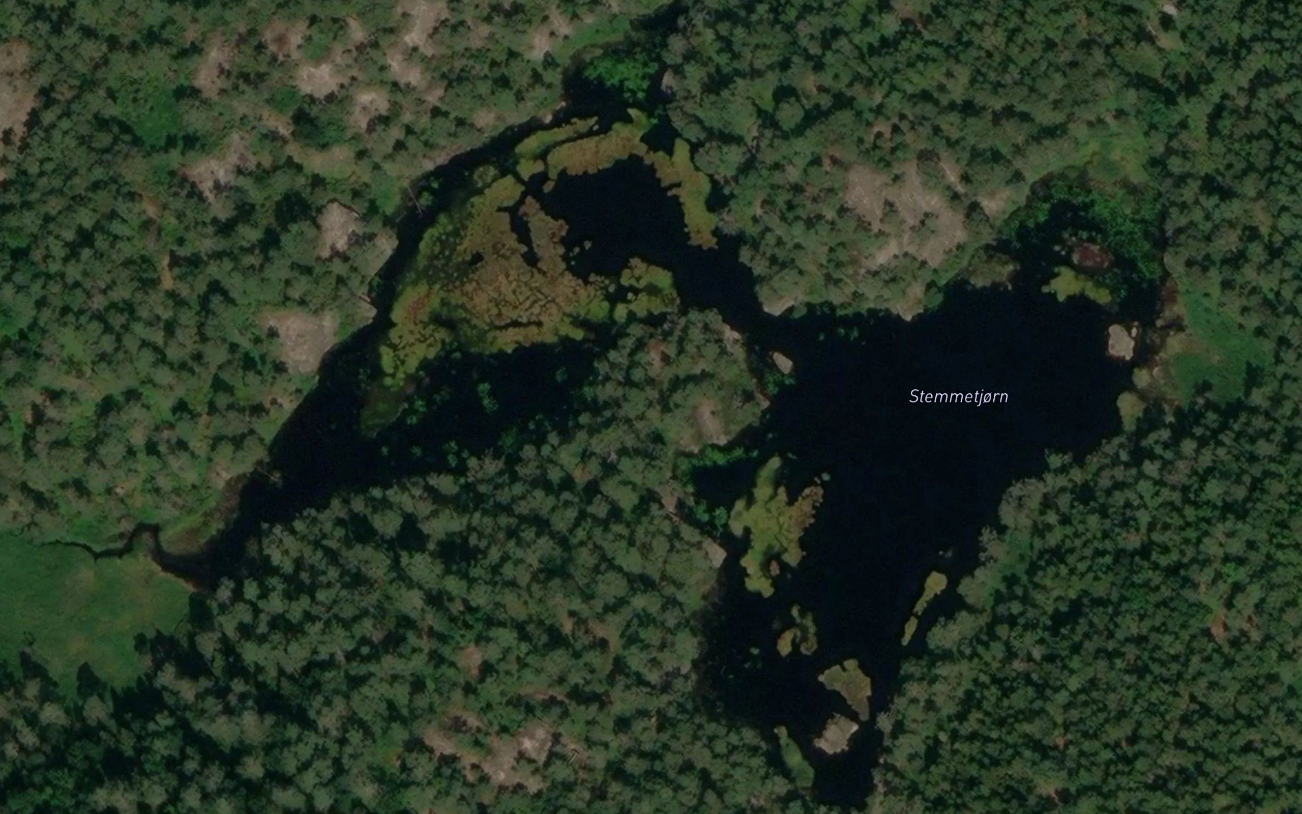 Stemmetjorn