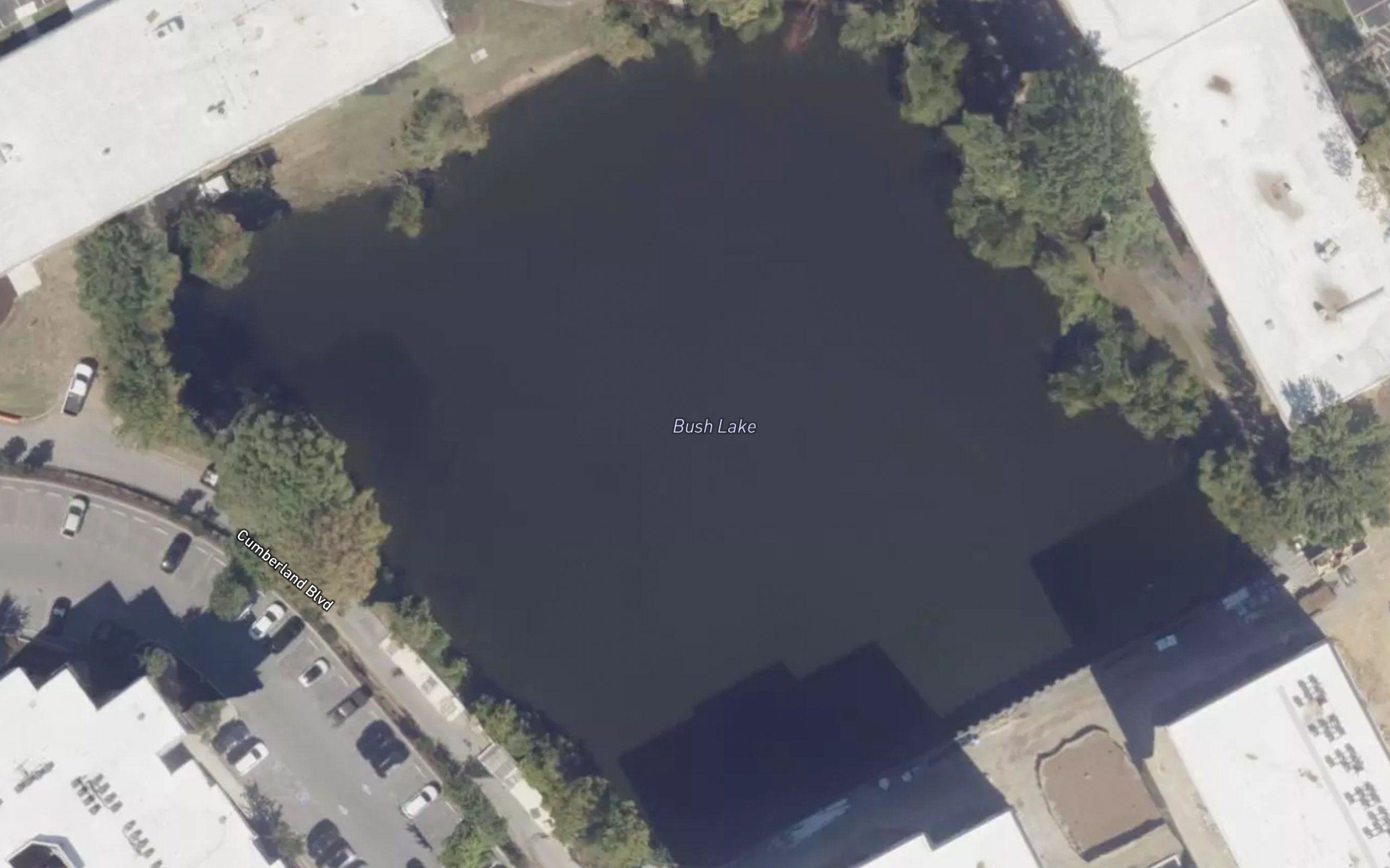 Bush Lake