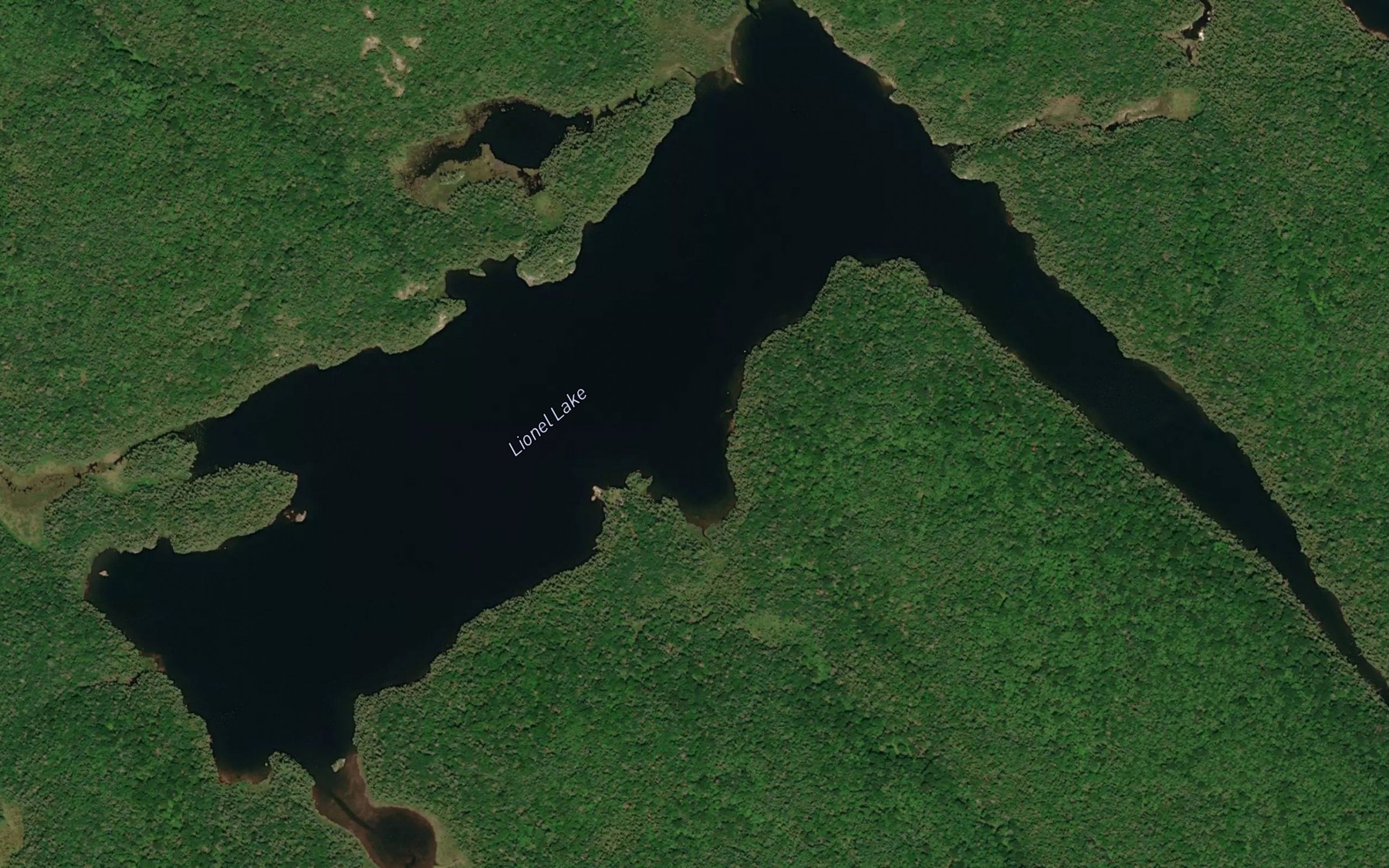 Satellite map of the Lionel Lake