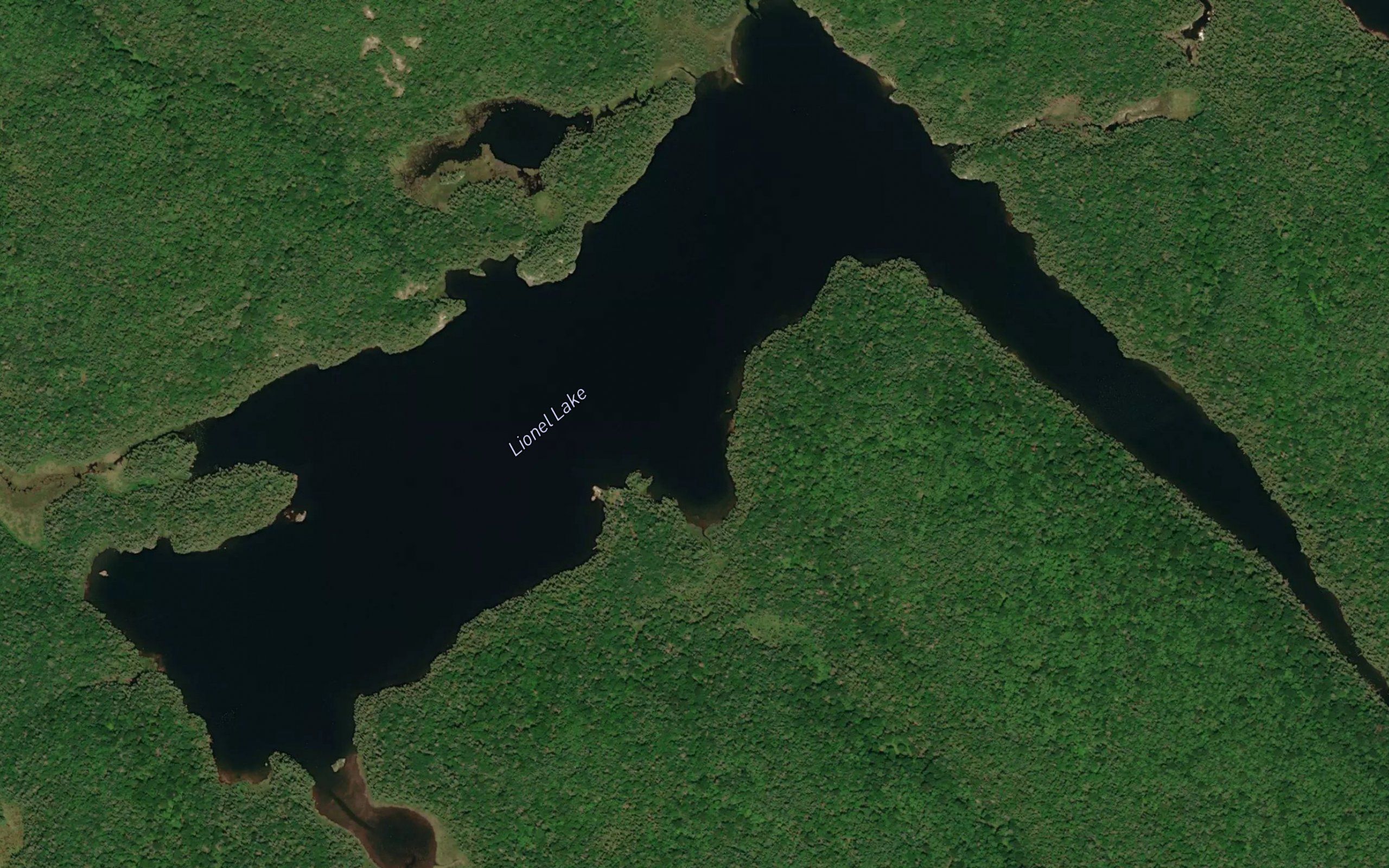 Lionel Lake