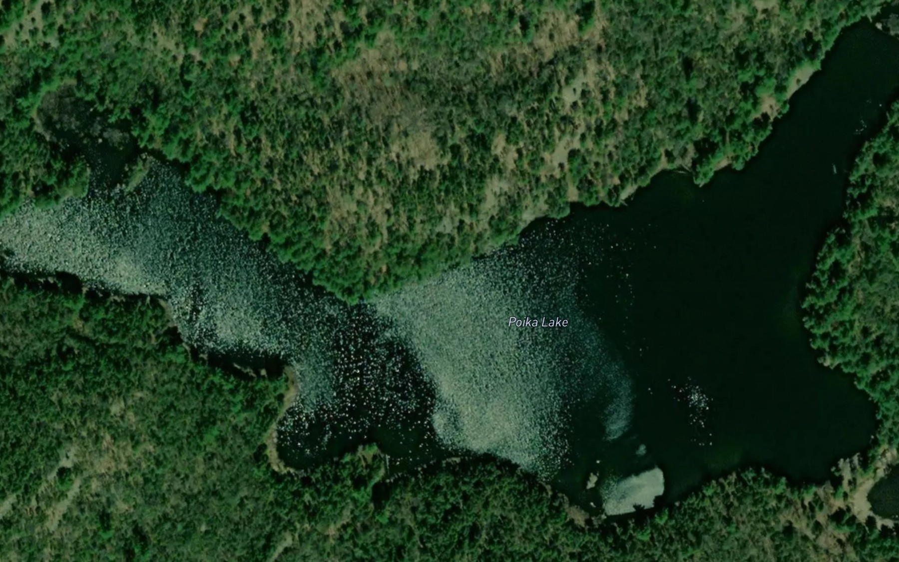 Satellite map of the Poika Lake