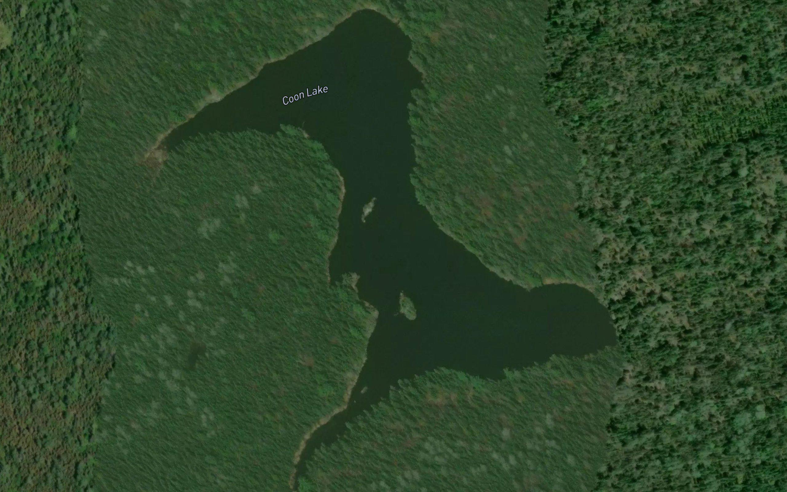 Coon Lake