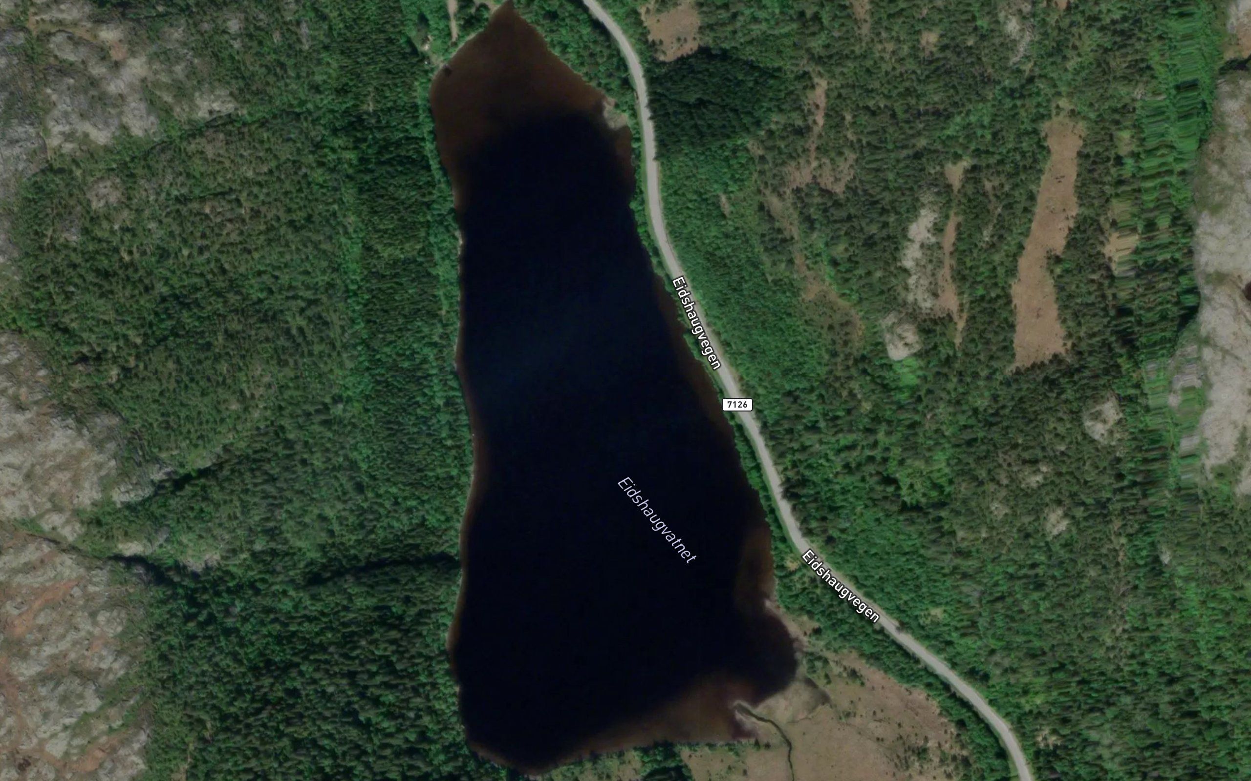 Eidshaugvatnet
