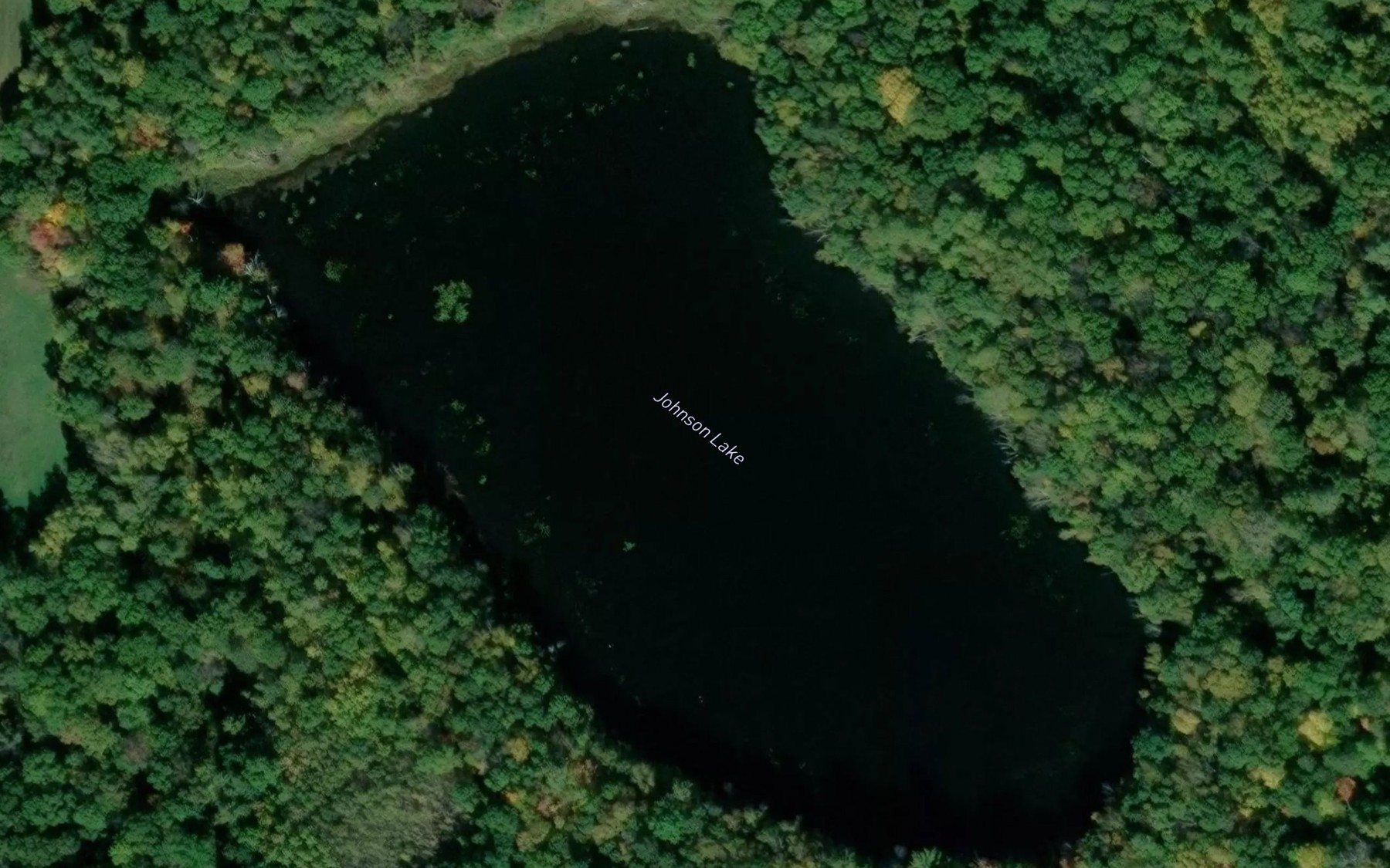 Satellite map of the Johnson Lake