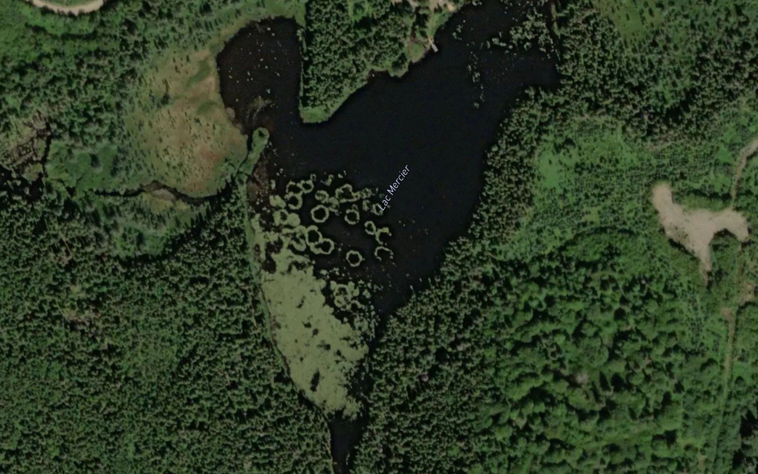 Lac Mercier