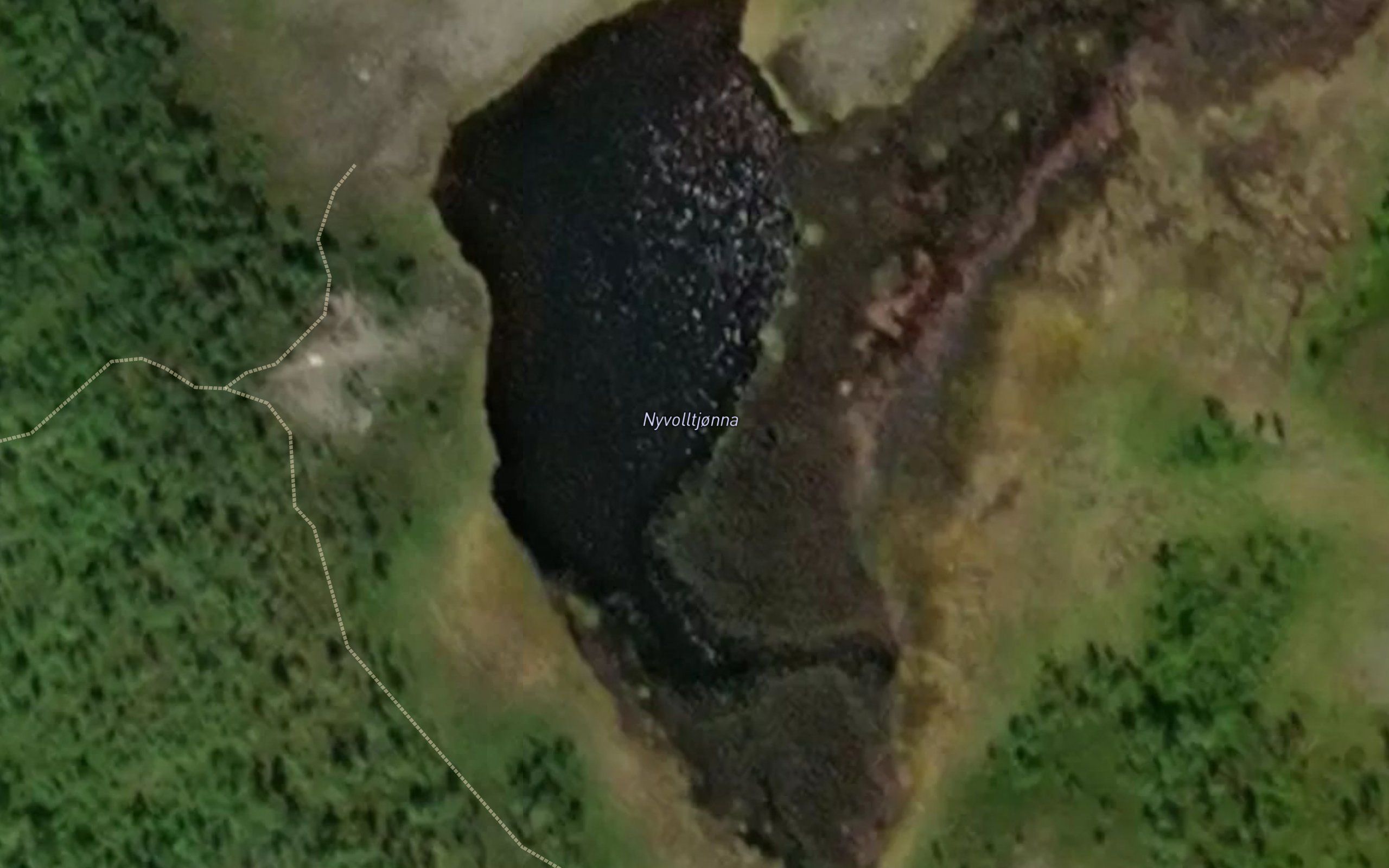 Nyvolltjorna