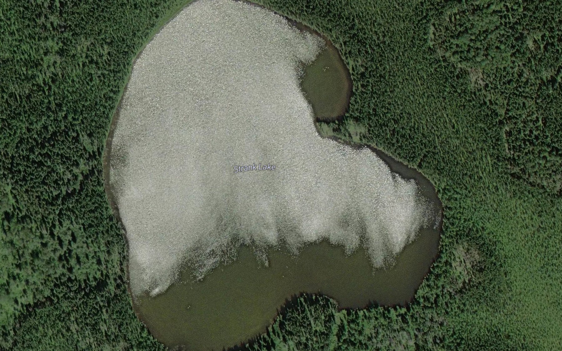 Satellite map of the Strank Lake
