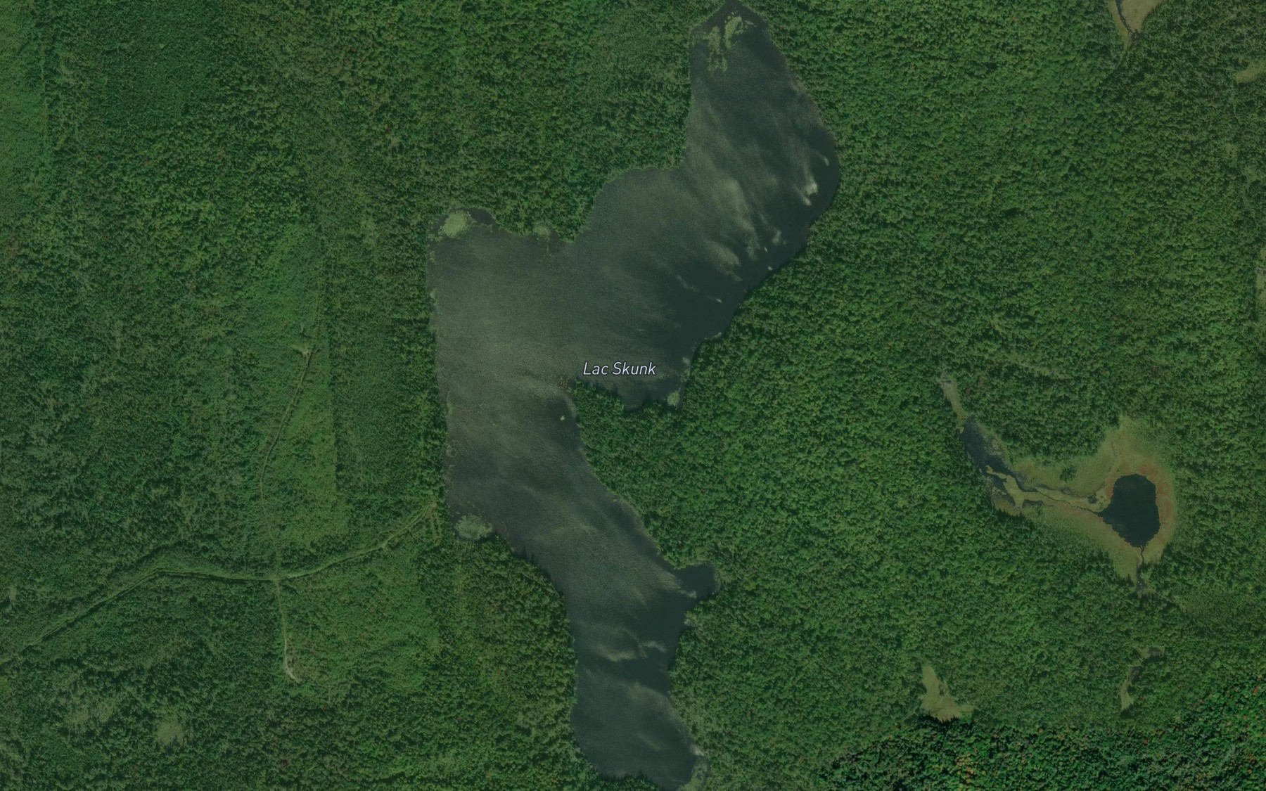 Satellite map of the Lac Skunk
