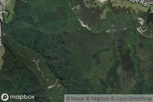 Satellite map of the Pohoenui Stream