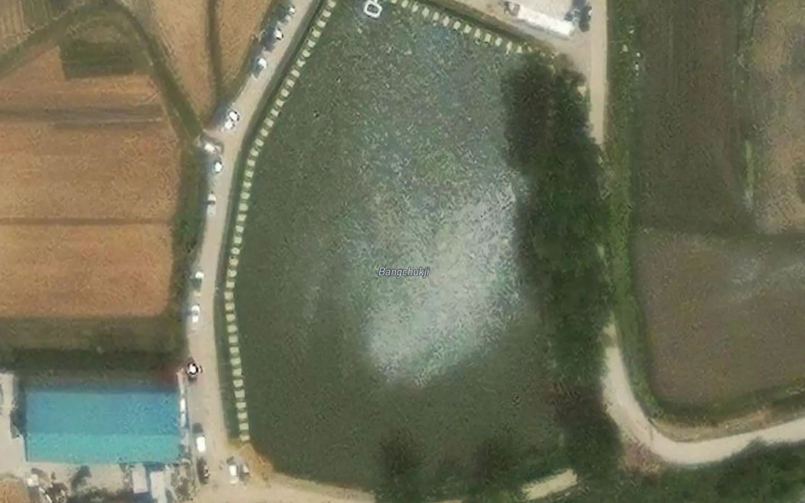 Pangjungni-bangjuk