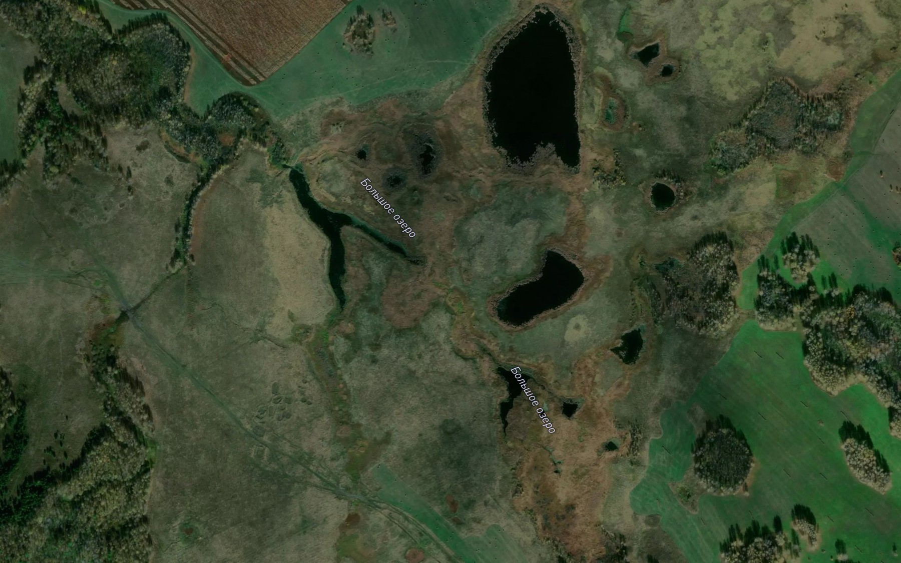 Satellite map of the Ozero Bol'shoye