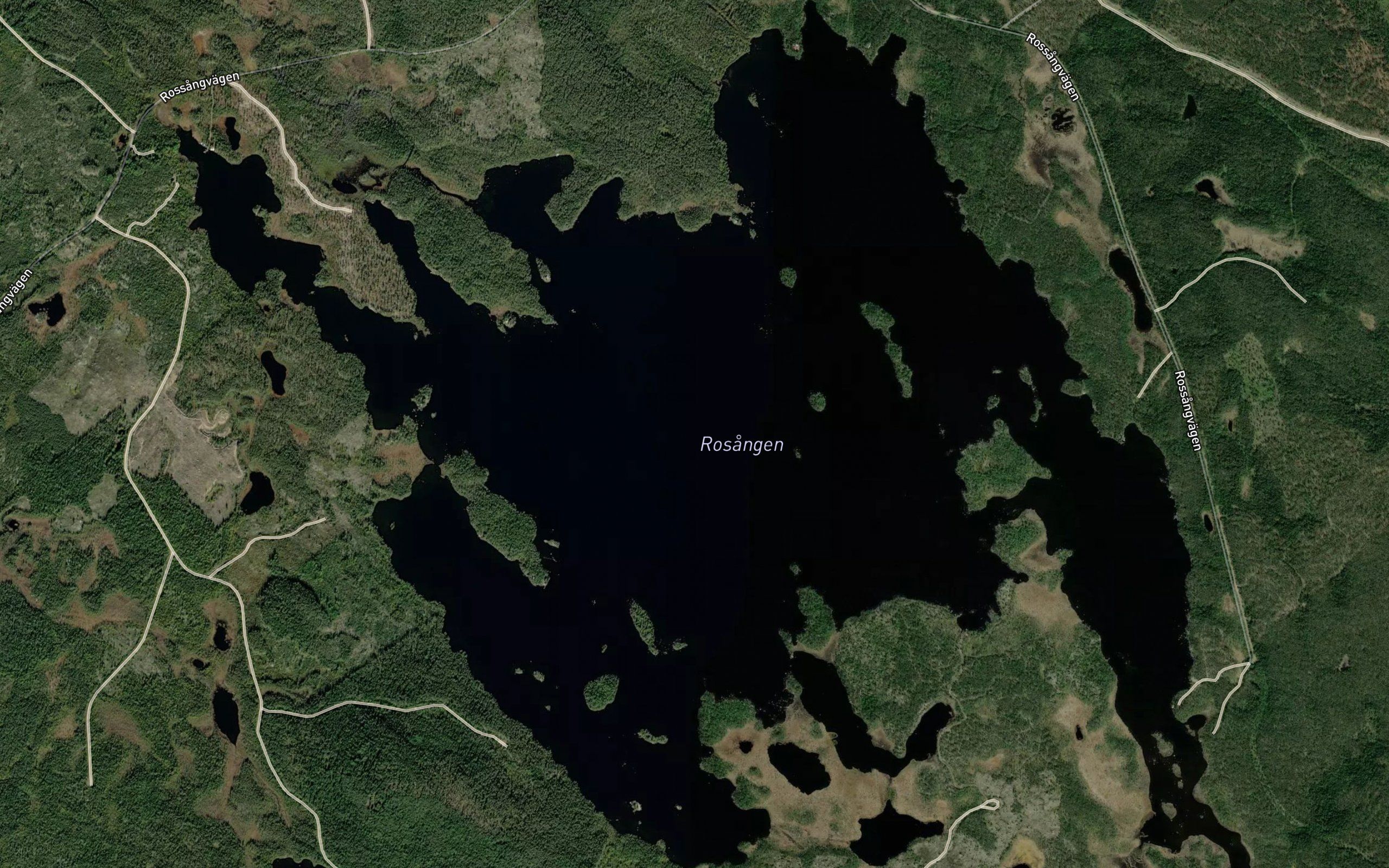 Rosangen