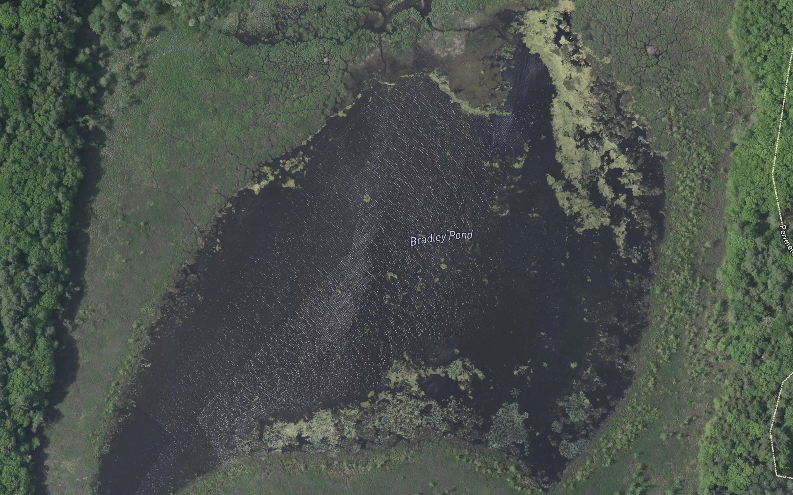 Bradley Pond