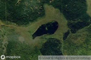 Cow Moose Lake