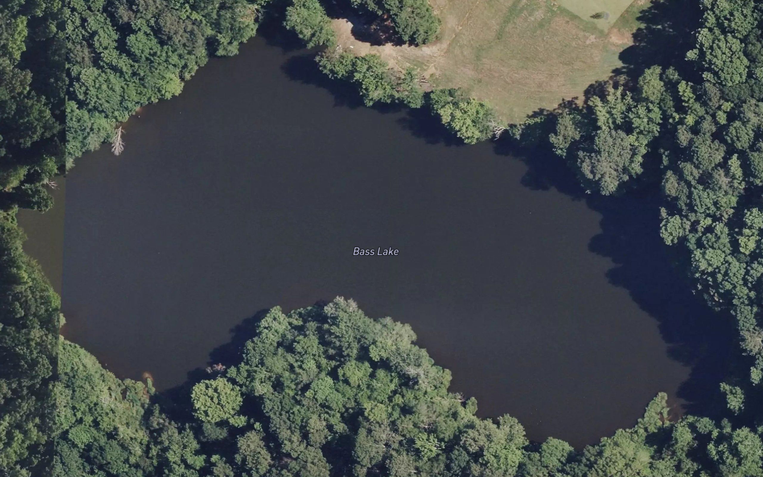 Bass Lake