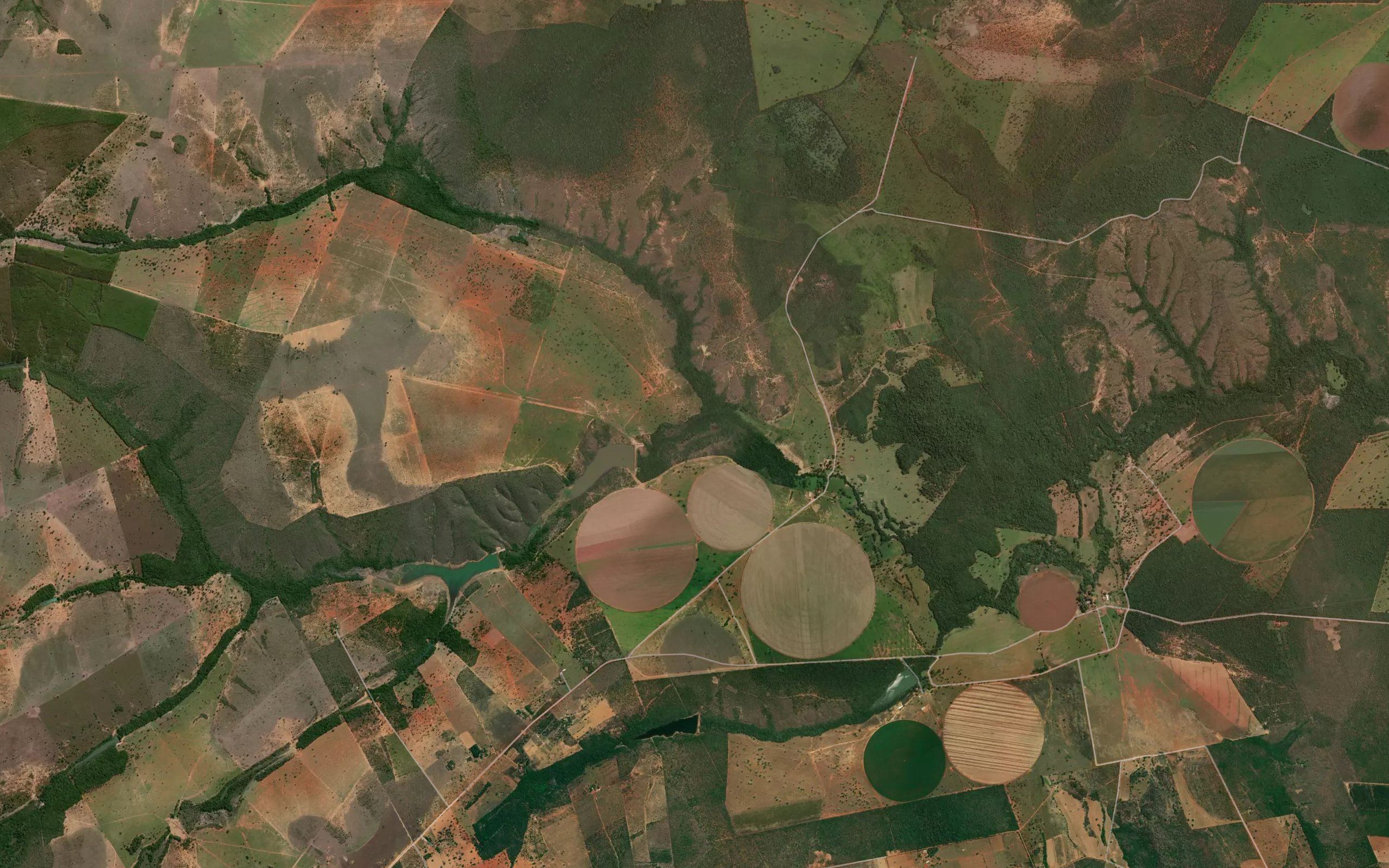 Vereda Francisco de Oliveira