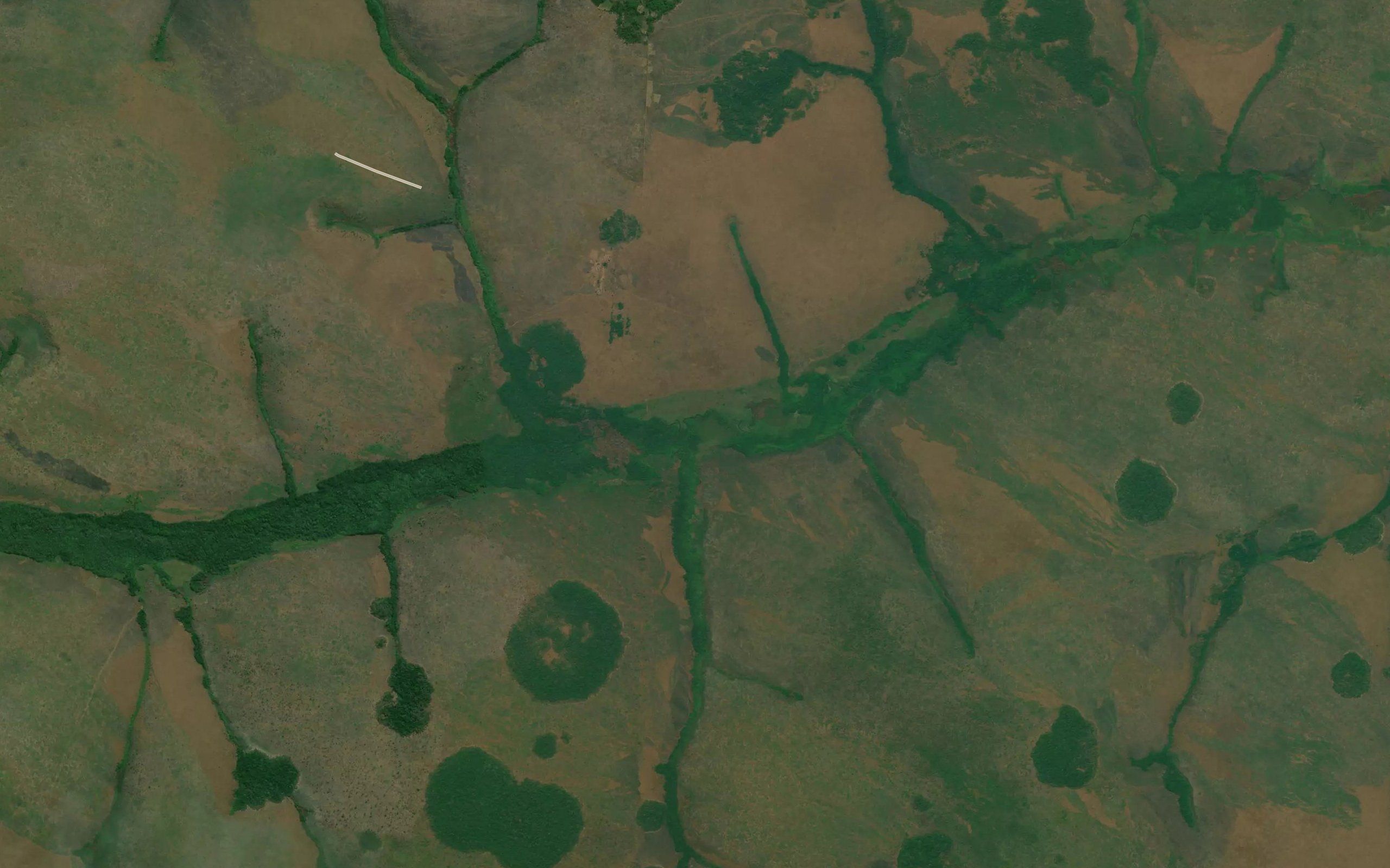 Kimubingu