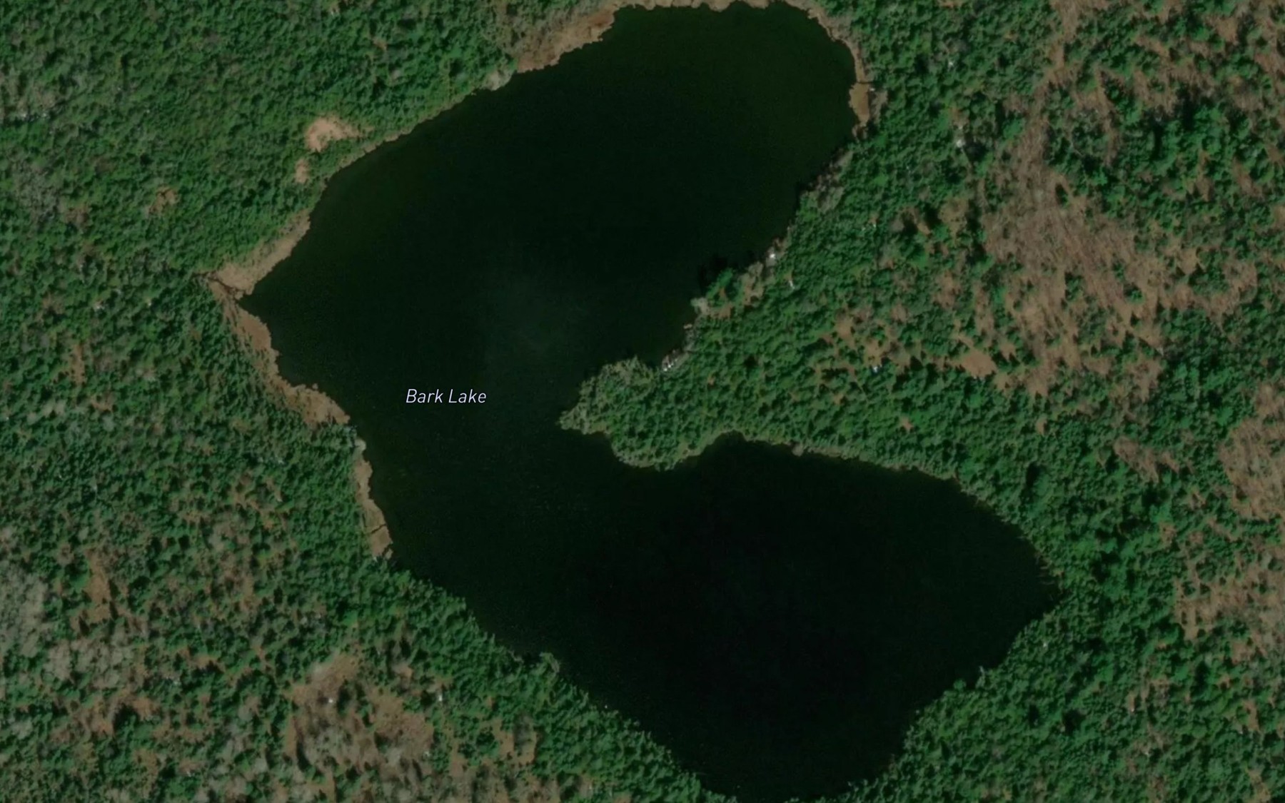 Satellite map of the Bark Lake